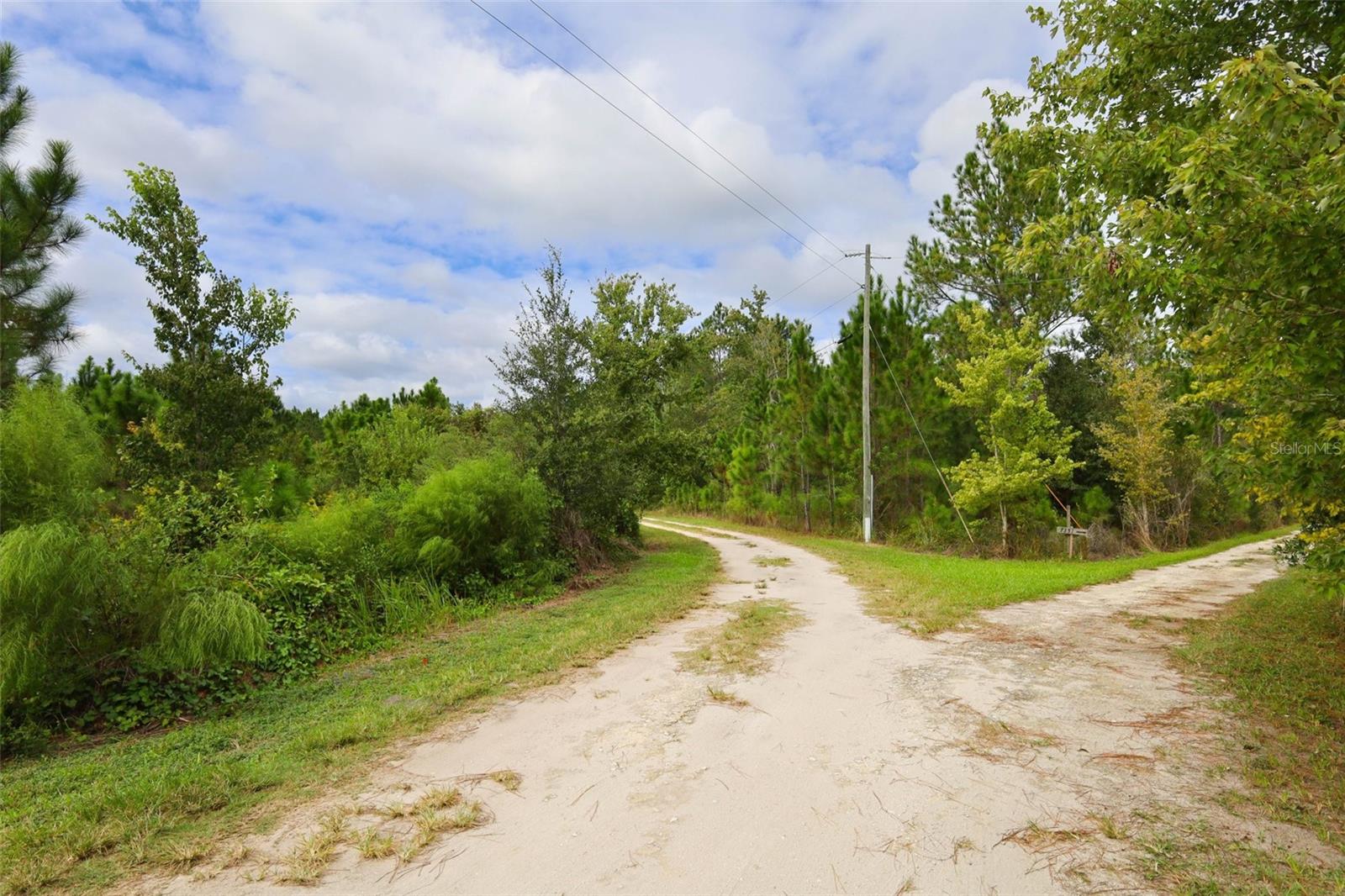 Entry Drive View