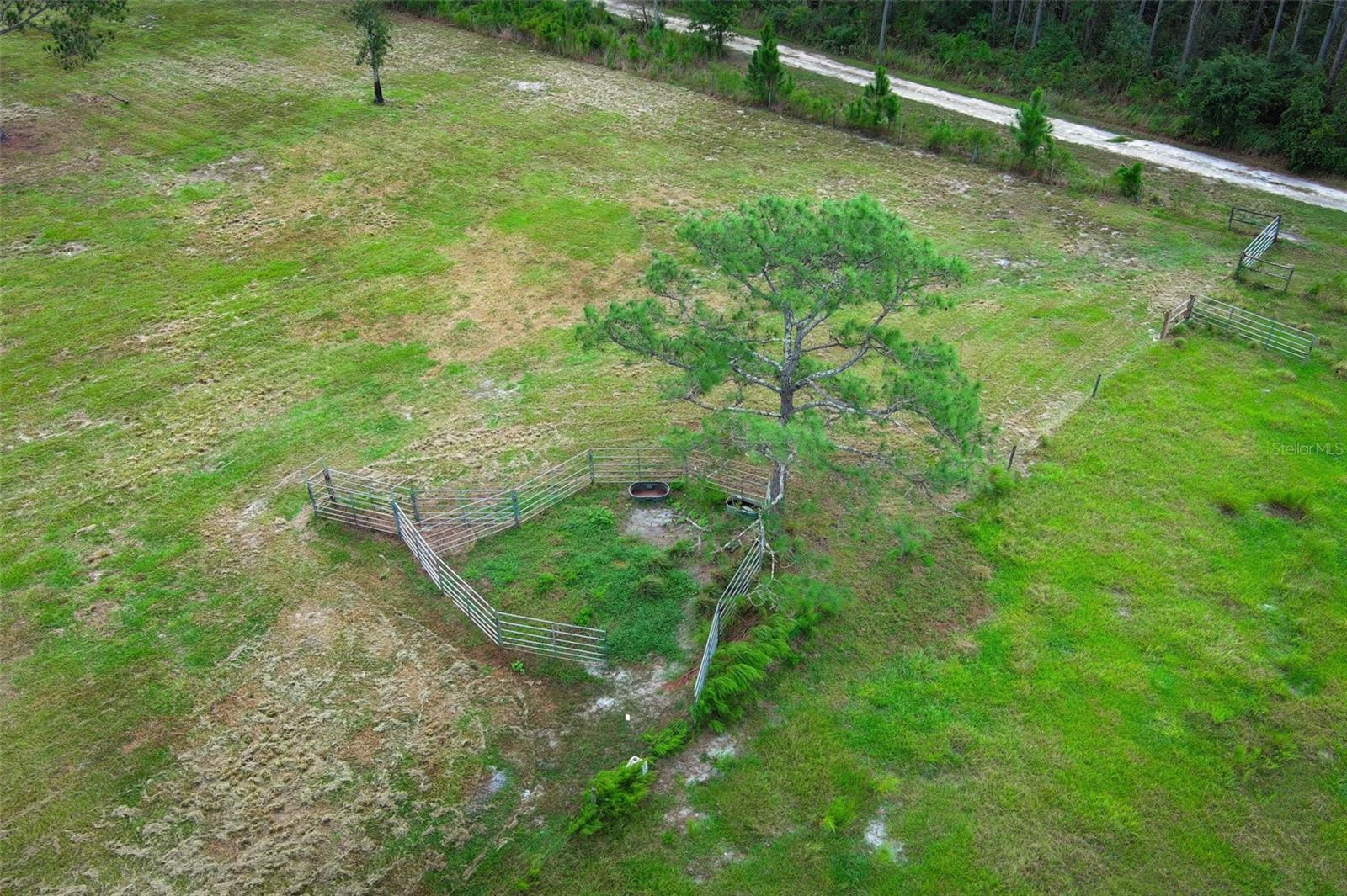 OIL WELL ROAD, Clermont, FL 34714