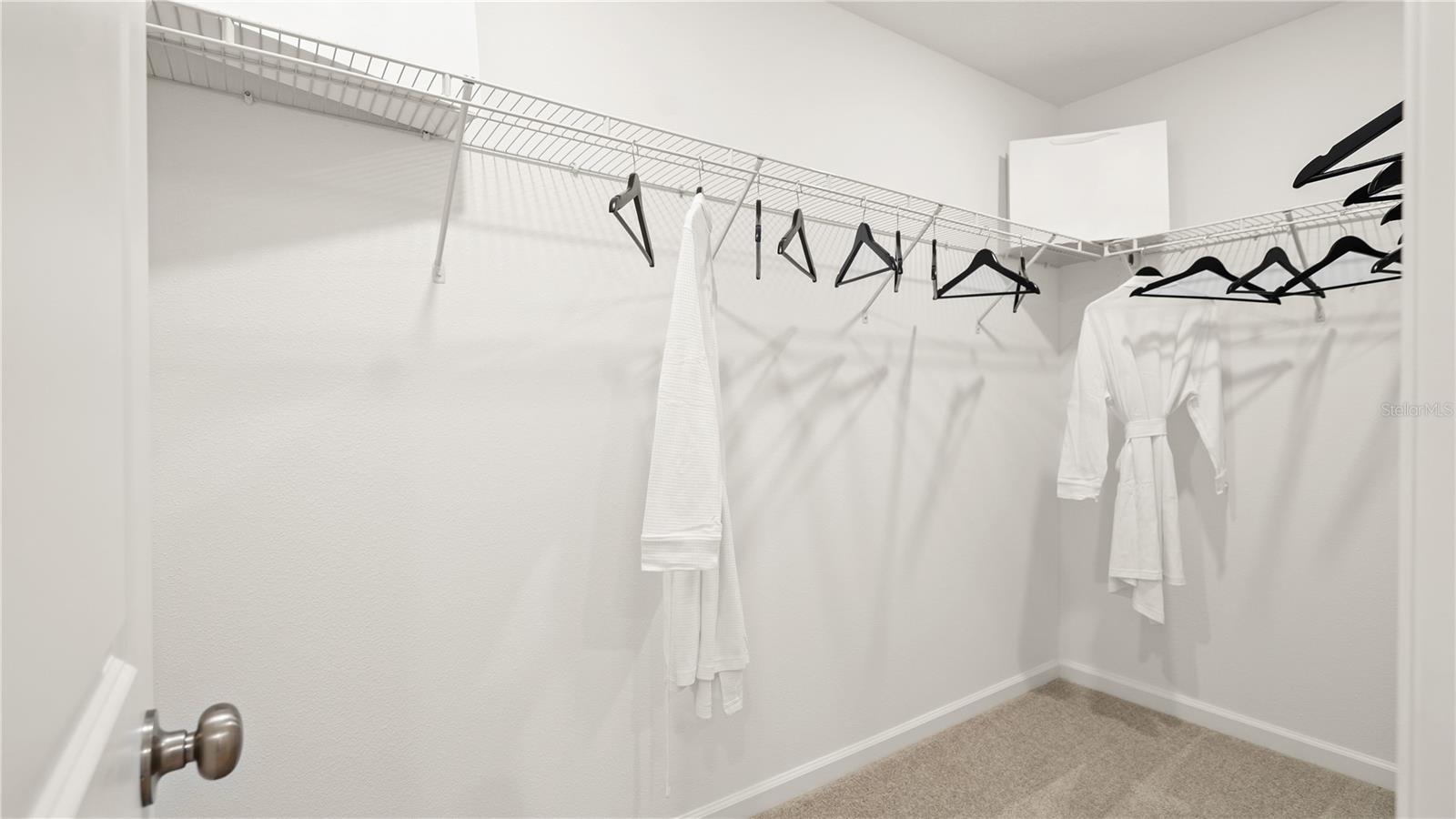 3202 MINDFULLNESS DRIVE, Clermont, FL 34714