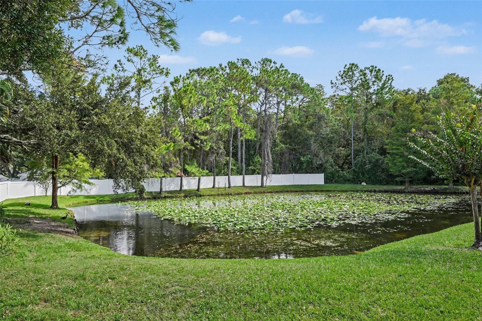 8419 EDGEWATER PLACE BOULEVARD, Tampa, FL 33615