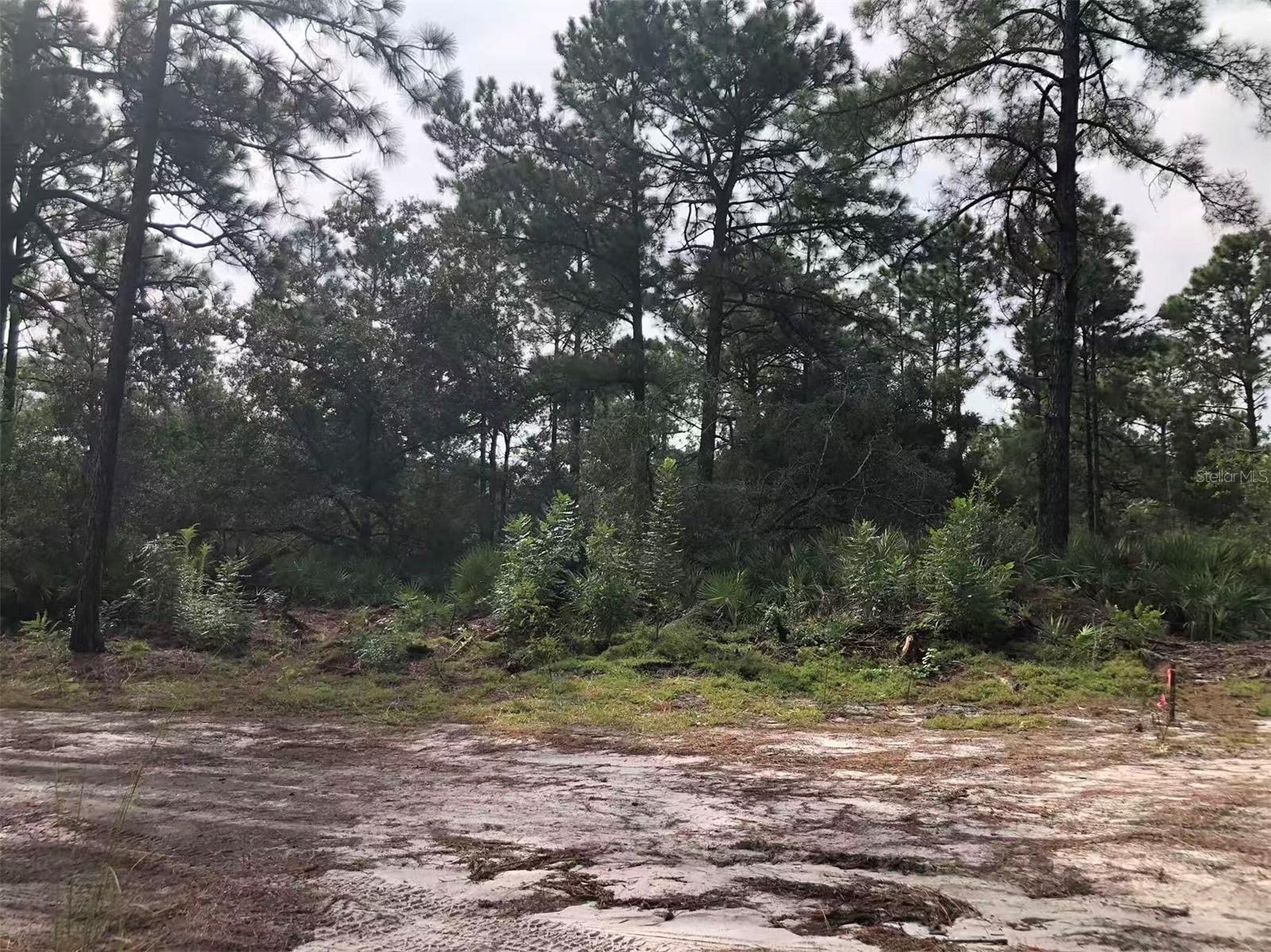 Lot 228 PARK FOREST BOULEVARD, #Lot 228, Mount Dora, FL 32757