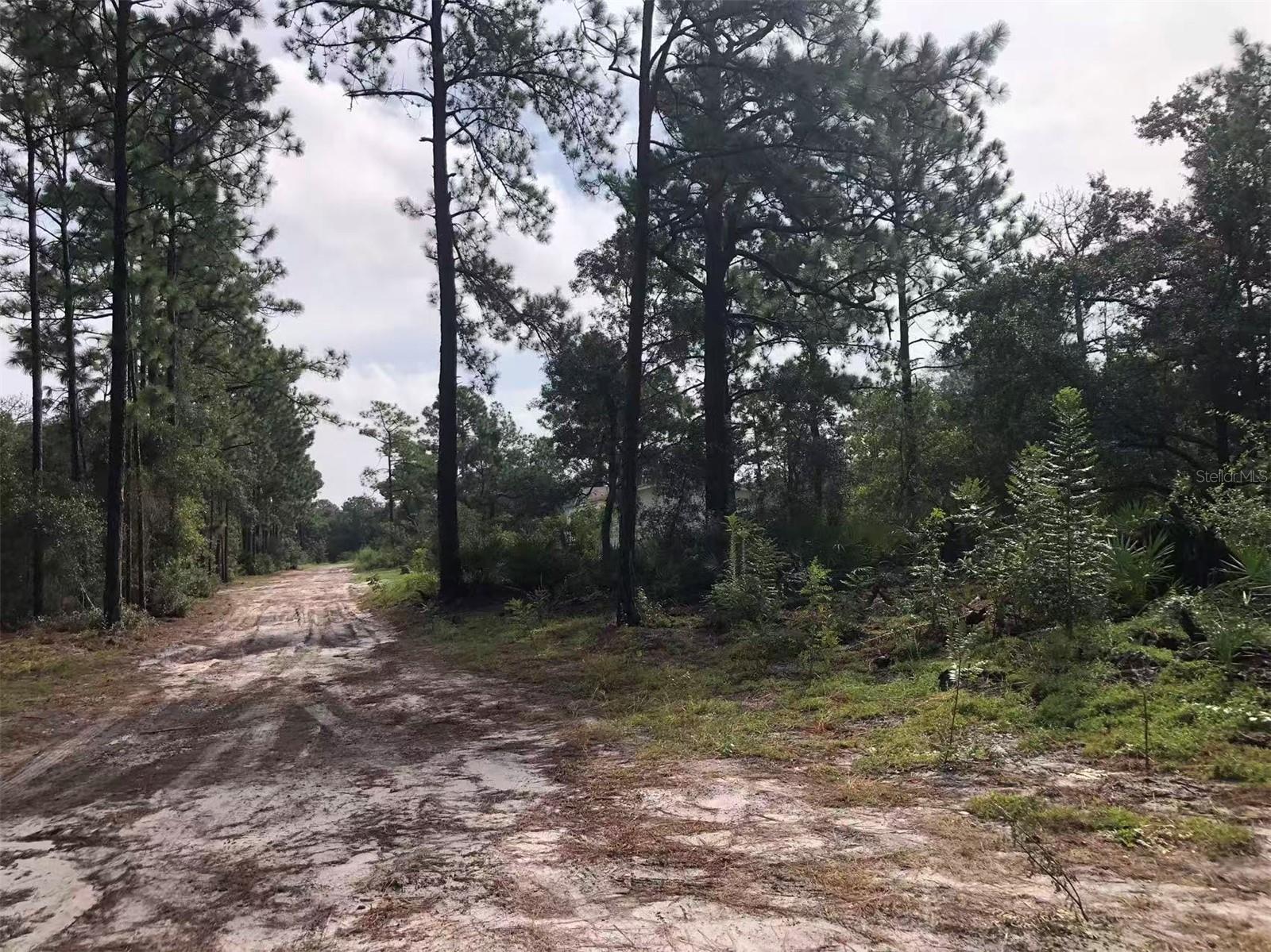 Lot 228 PARK FOREST BOULEVARD, #Lot 228, Mount Dora, FL 32757