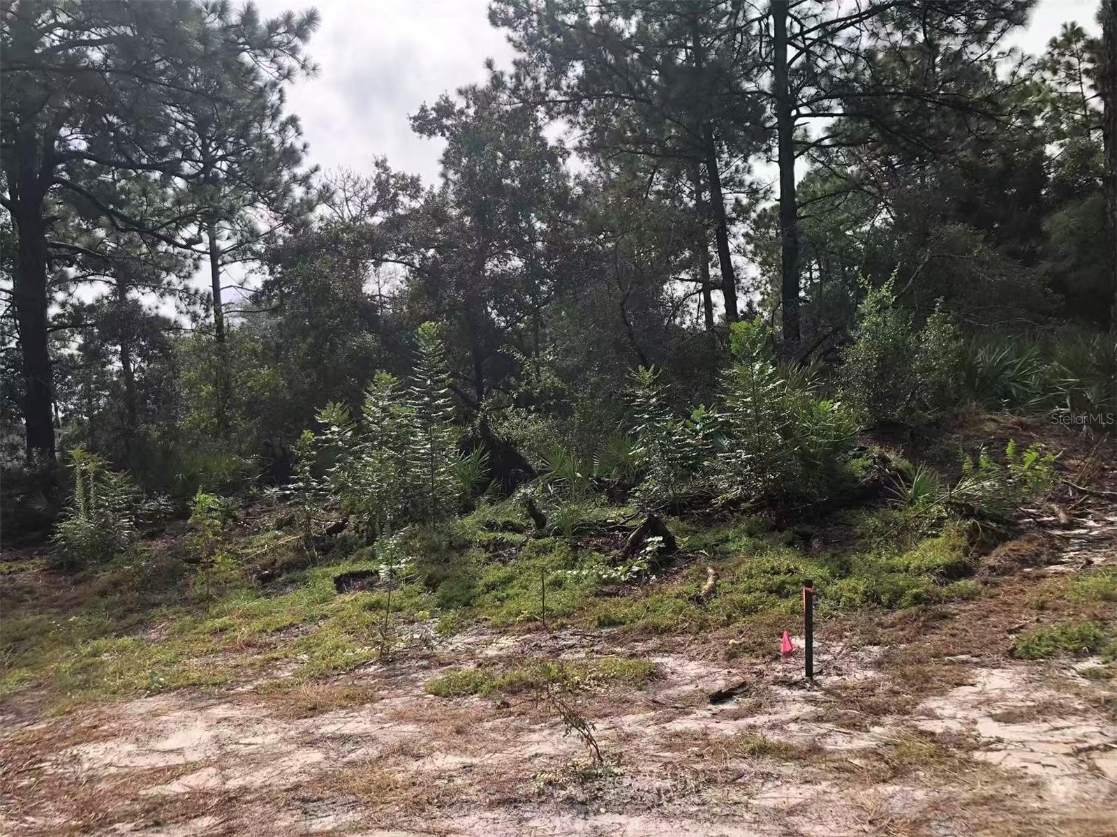 Lot 228 PARK FOREST BOULEVARD, #Lot 228, Mount Dora, FL 32757