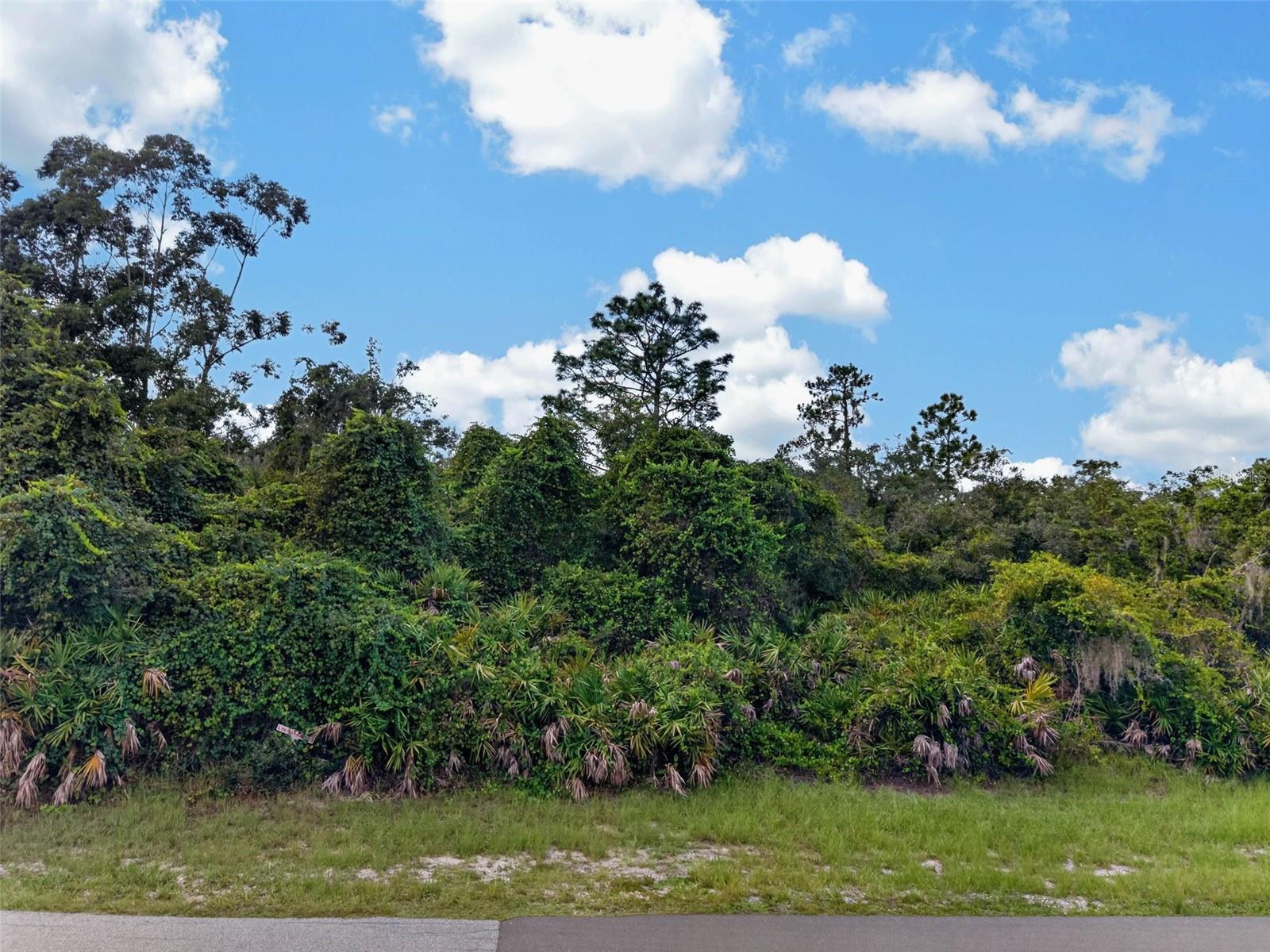00 DEER ROAD, Frostproof, FL 33843