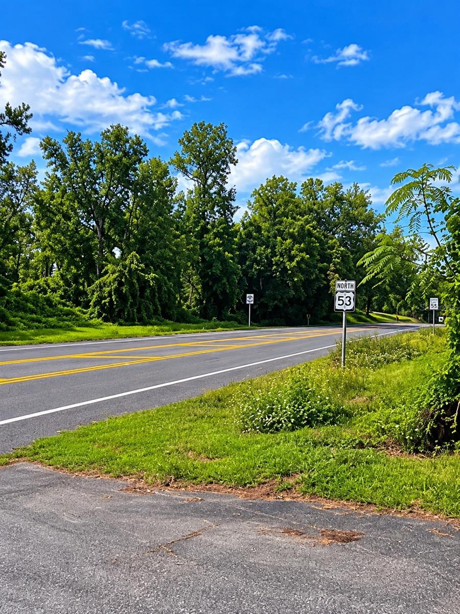 NW LITTLE CAT ROAD, Madison, FL 32340