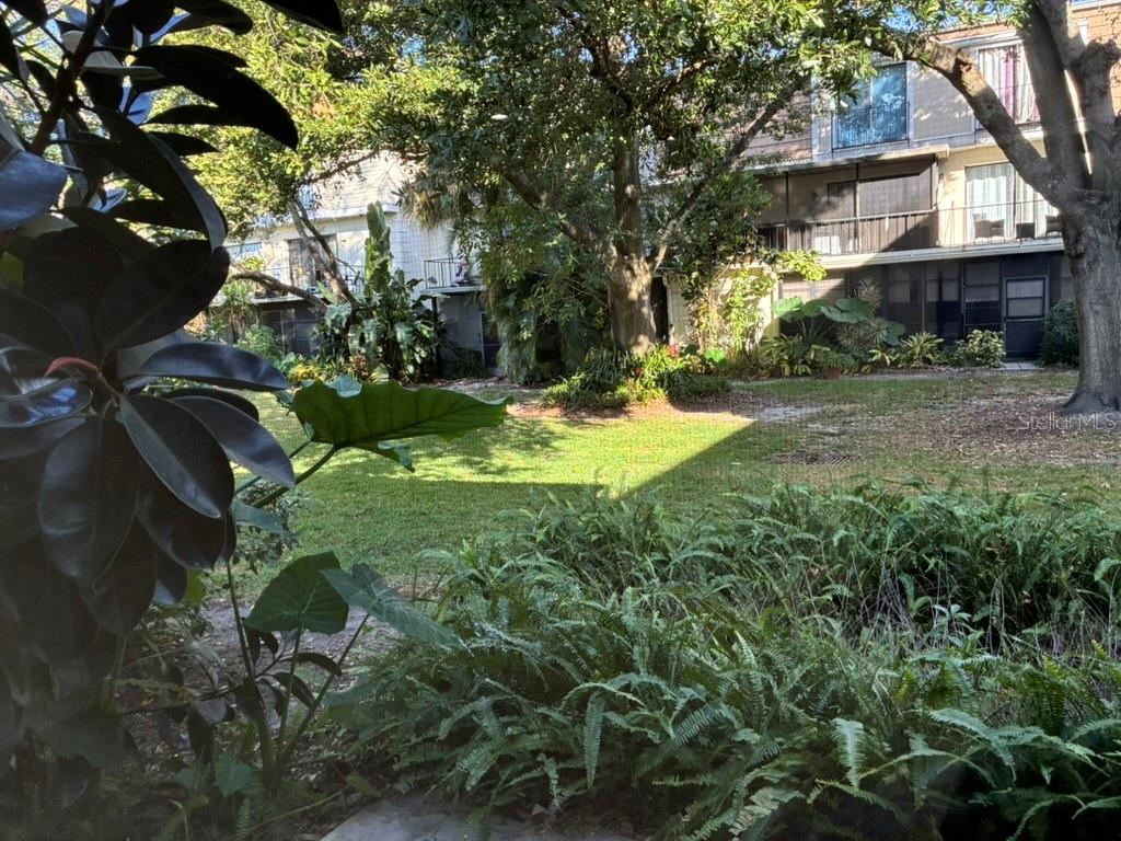Garden as seen from rear porch