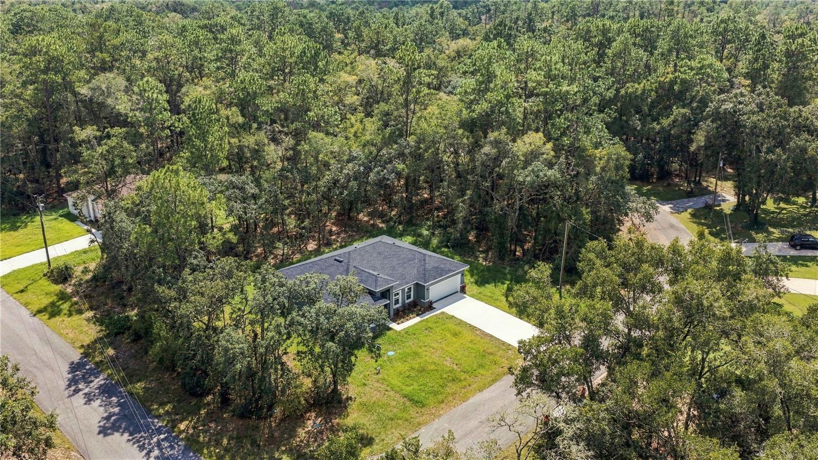9235 N DANUBE LOOP, Citrus Springs, FL 34434