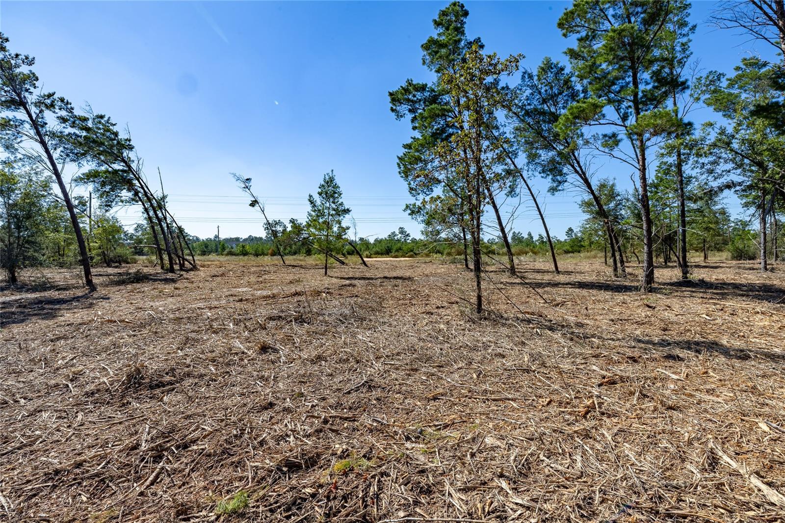 16308 SINGER ROAD, Youngstown, FL 32466 16308 SINGER ROAD, Youngstown, FL 32466