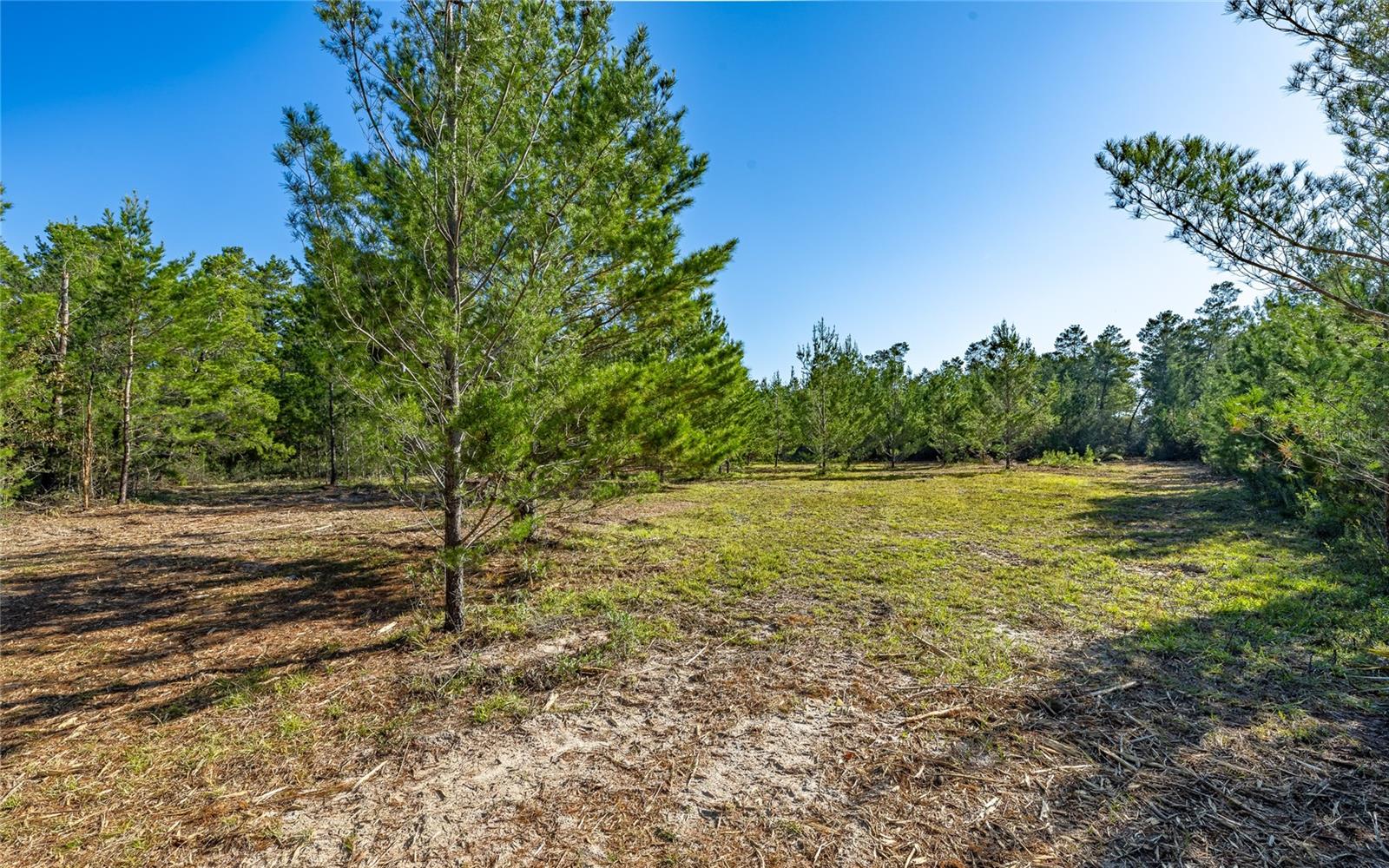 16308 SINGER ROAD, Youngstown, FL 32466 16308 SINGER ROAD, Youngstown, FL 32466