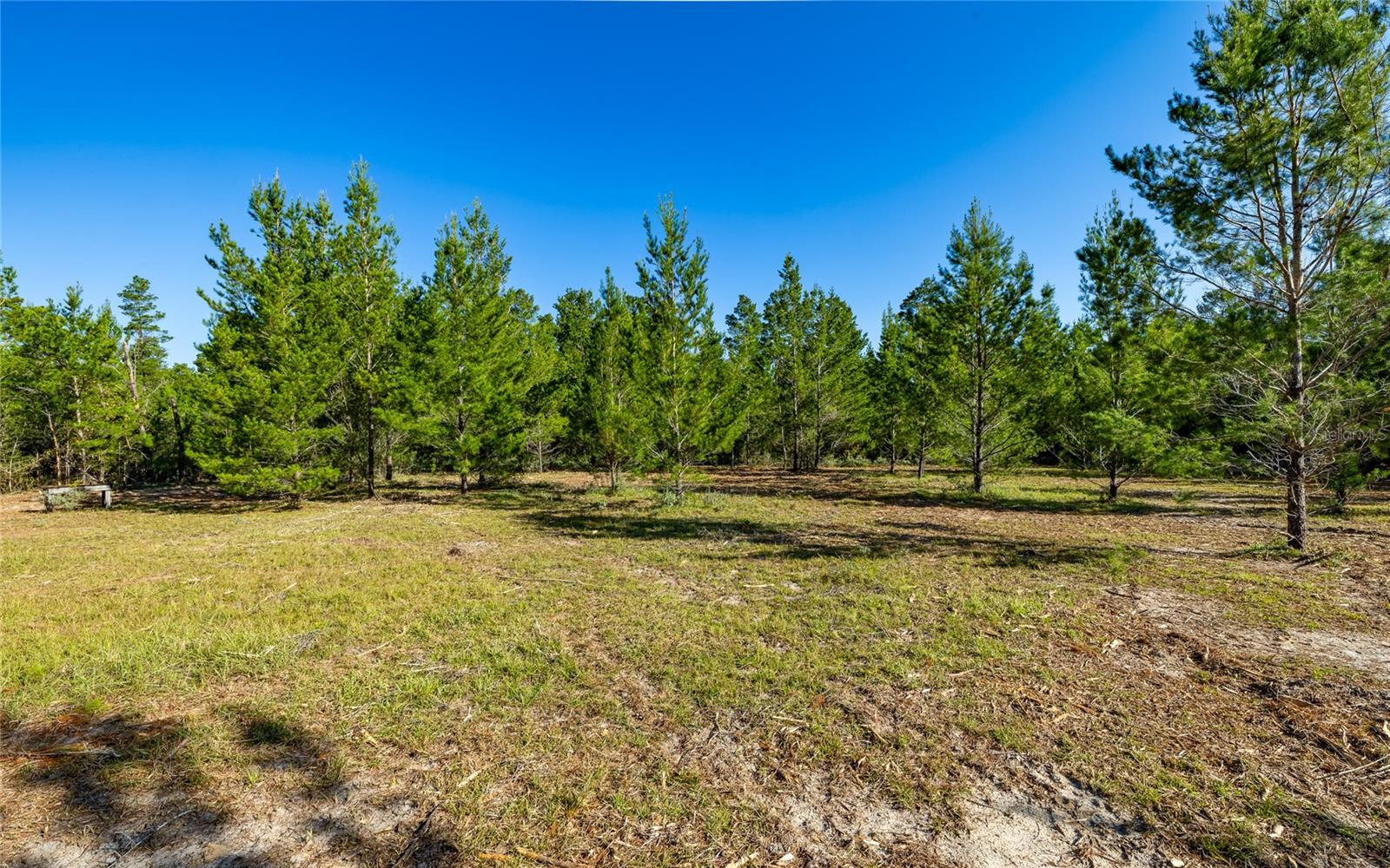 16308 SINGER ROAD, Youngstown, FL 32466