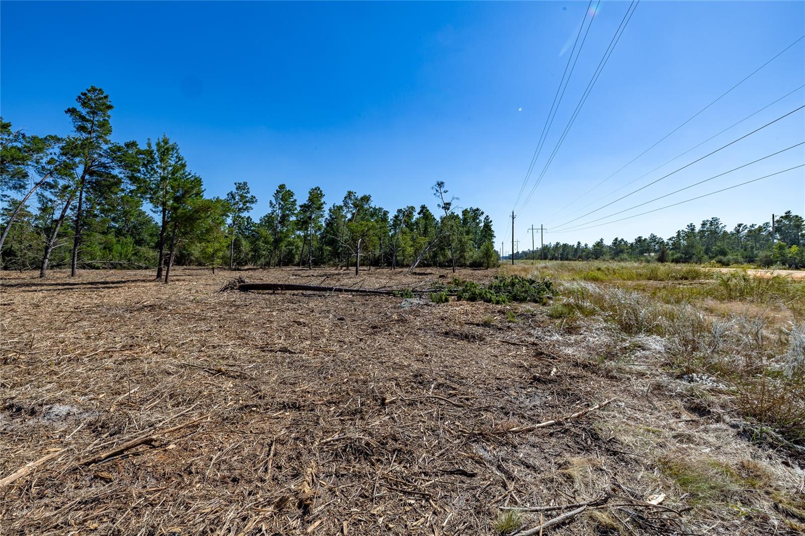 16308 SINGER ROAD, Youngstown, FL 32466 16308 SINGER ROAD, Youngstown, FL 32466