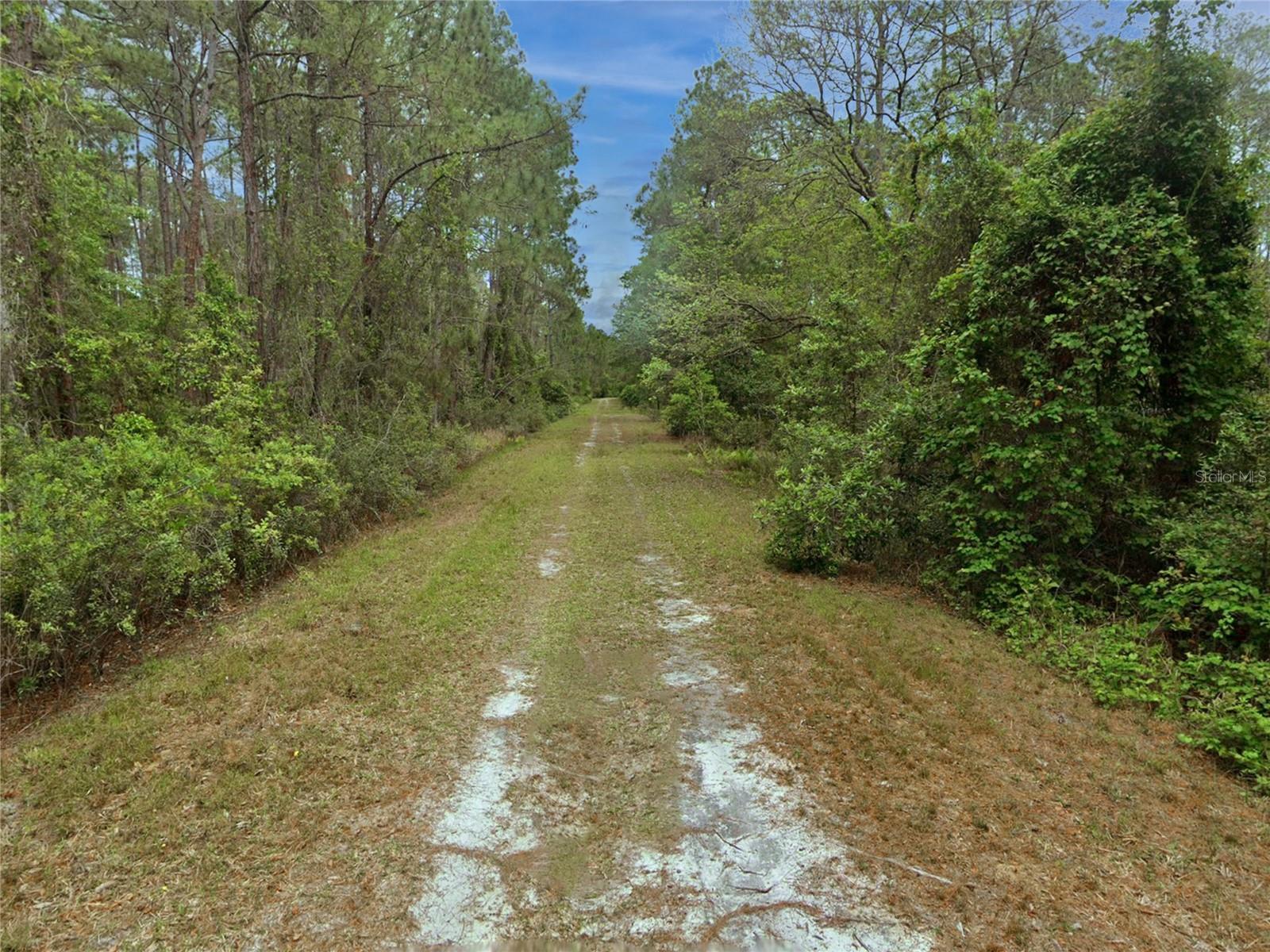 210 SE 1ST STREET, Georgetown, FL 32139
