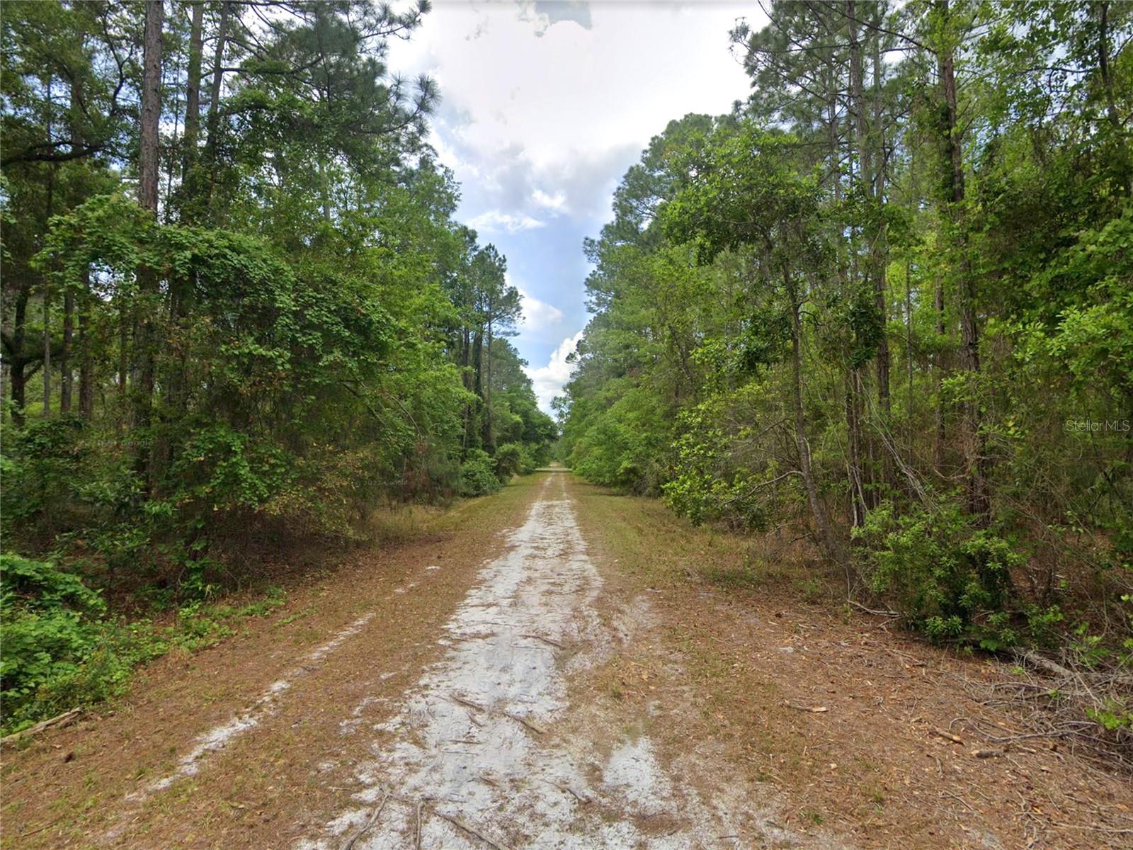 210 SE 1ST STREET, Georgetown, FL 32139