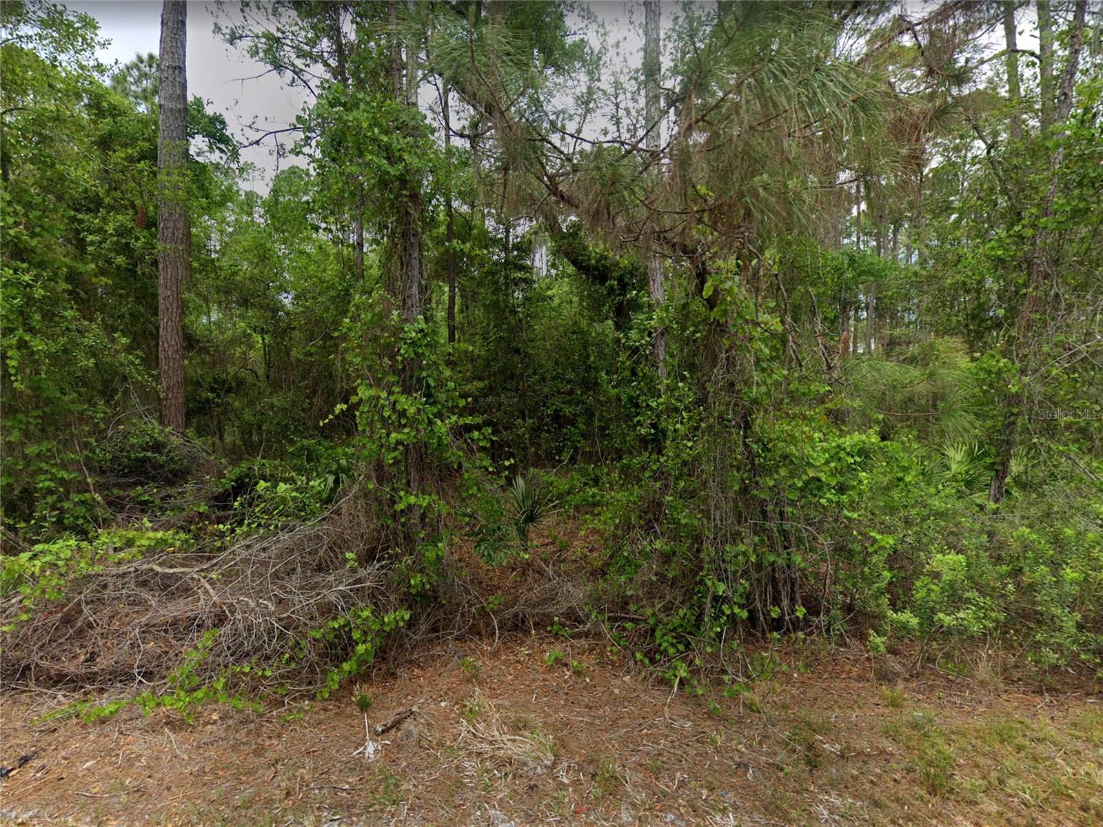 210 SE 1ST STREET, Georgetown, FL 32139