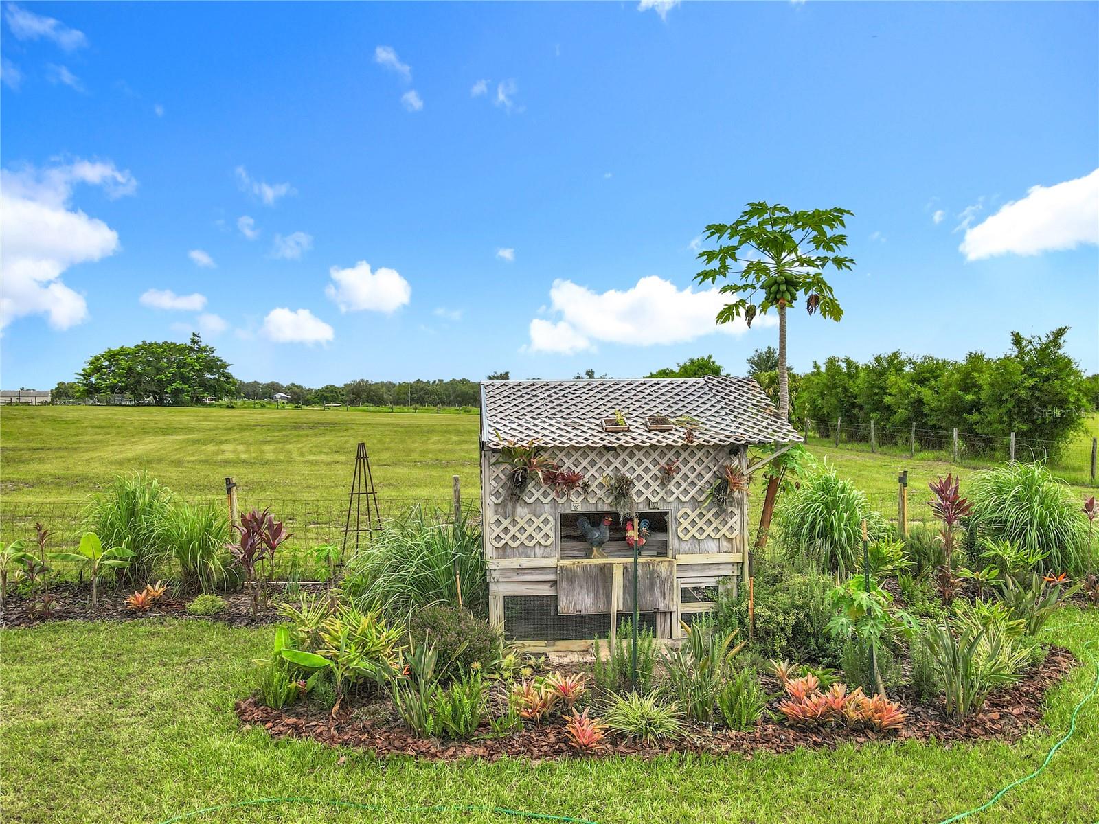10220 BAY LAKE ROAD, Groveland, FL 34736