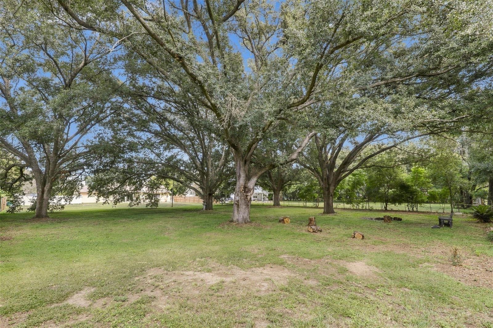 2460 E CROOKED LAKE CLUB BOULEVARD, Eustis, FL 32726