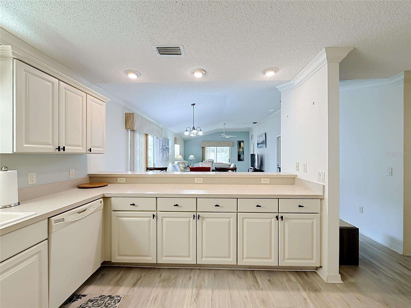 972 ROCKVILLE PLACE, The Villages, FL 32162
