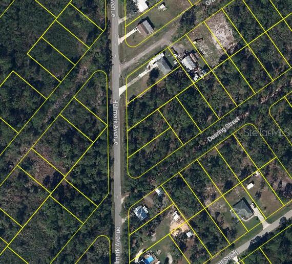 525 HALLMARK AVENUE, Lake Placid, FL 33852 525 HALLMARK AVENUE, Lake Placid, FL 33852