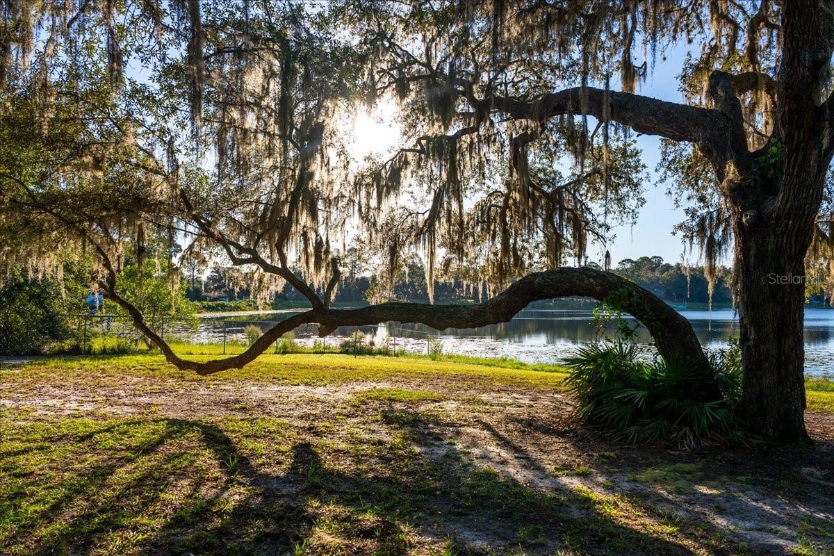 22649 & 22645 & Land NE 105TH AVENUE ROAD, Fort Mc Coy, FL 32134