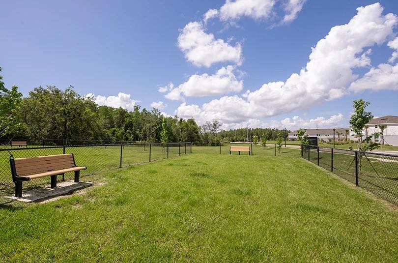 Amenities - Dog Park