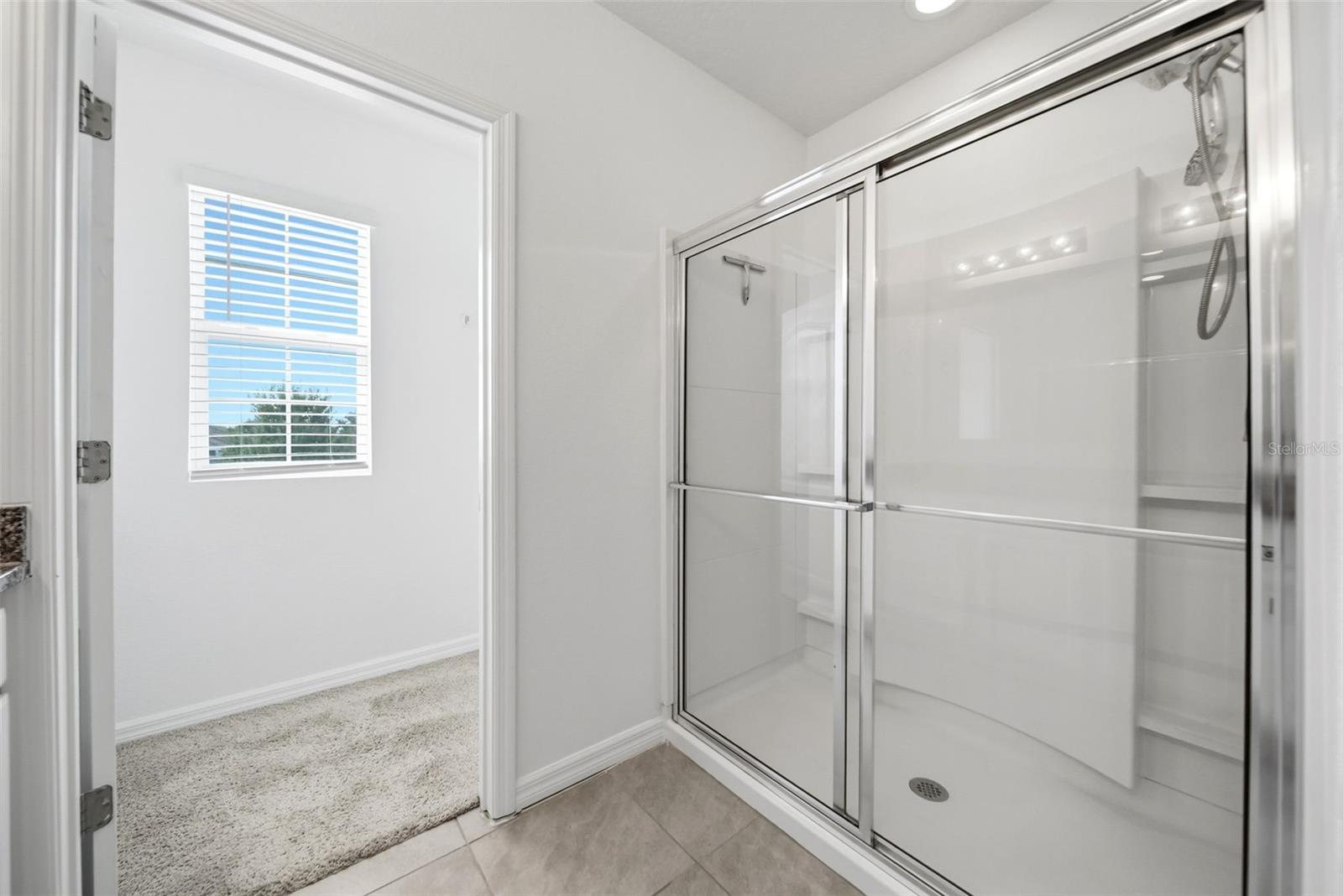 3313 WOLF RUN ROAD, Mount Dora, FL 32757