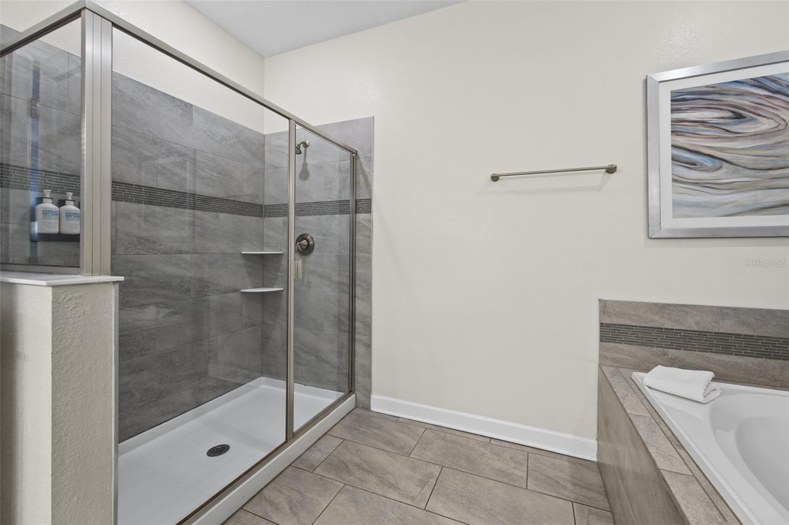 Walk-in shower and tub