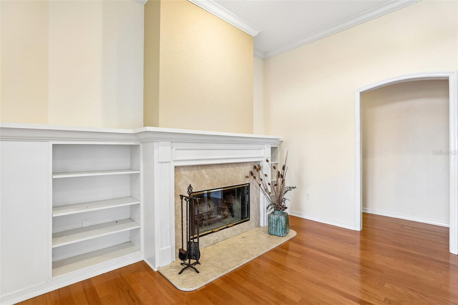 Fireplace in Family Room