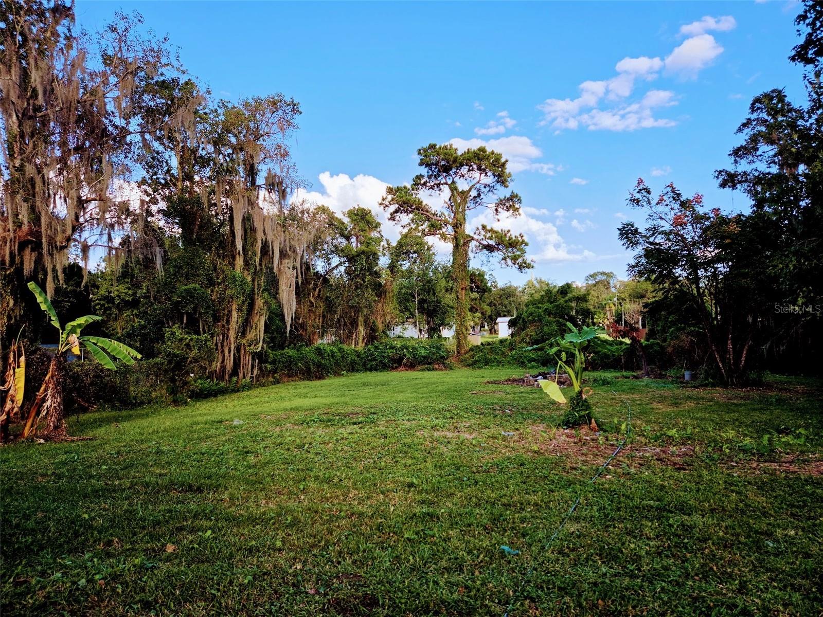 613 CARPENTER ROAD, Orlando, FL 32833 613 CARPENTER ROAD, Orlando, FL 32833