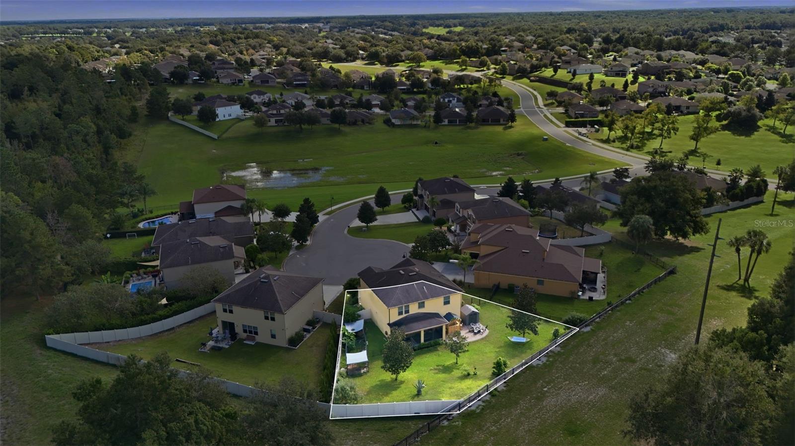 Drone Back Yard 1