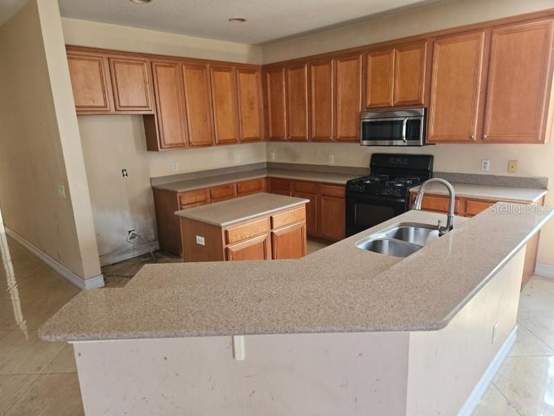 20126 NOB OAK AVENUE, Tampa, FL 33647