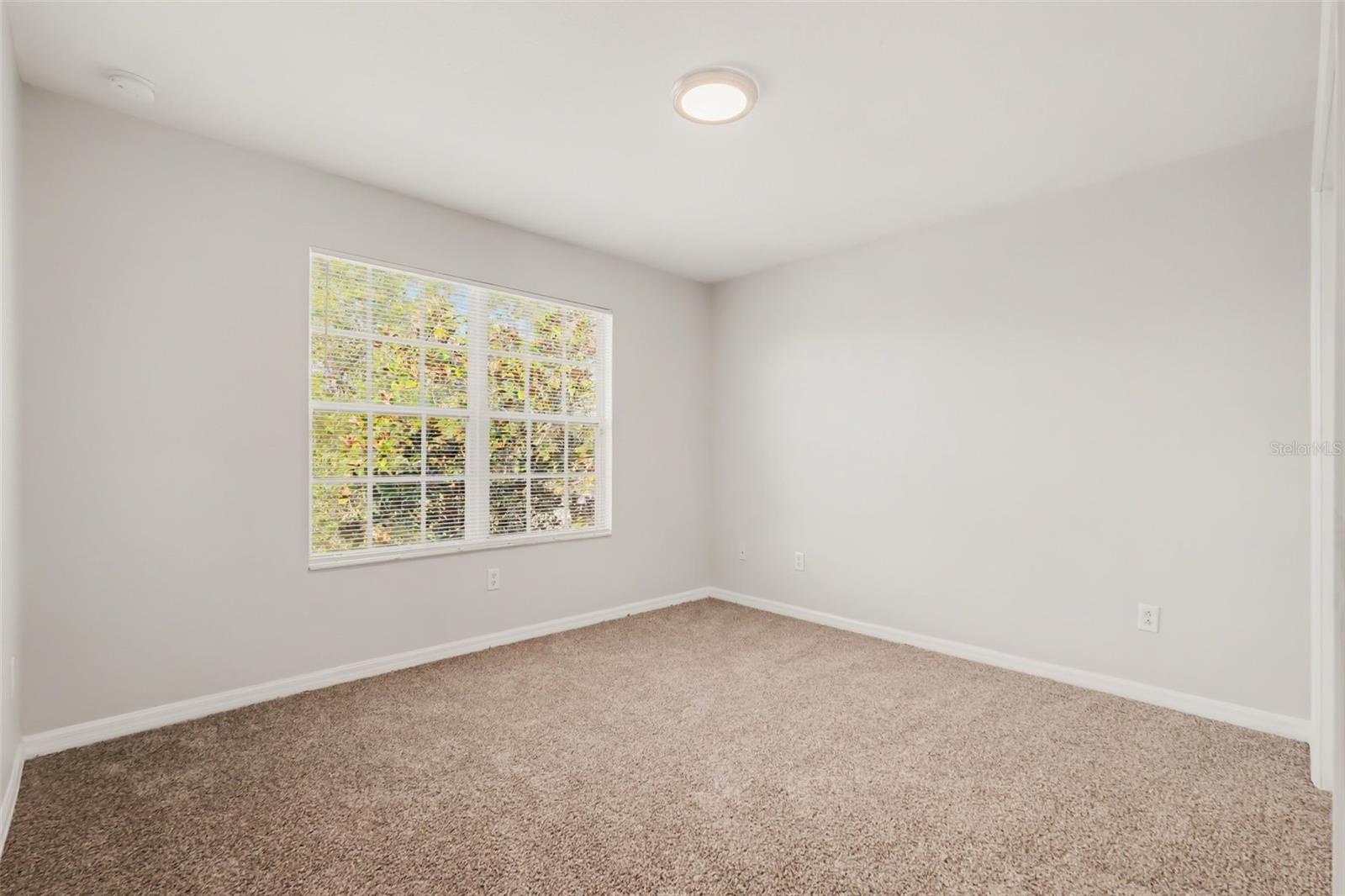11115 ANCIENT FUTURES DR DRIVE, Tampa, FL 33647