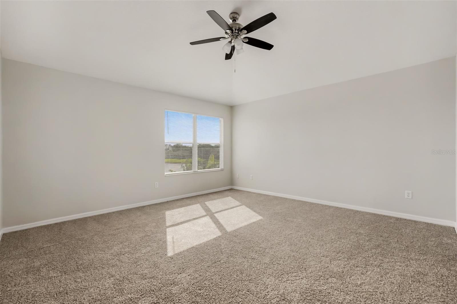 11115 ANCIENT FUTURES DR DRIVE, Tampa, FL 33647