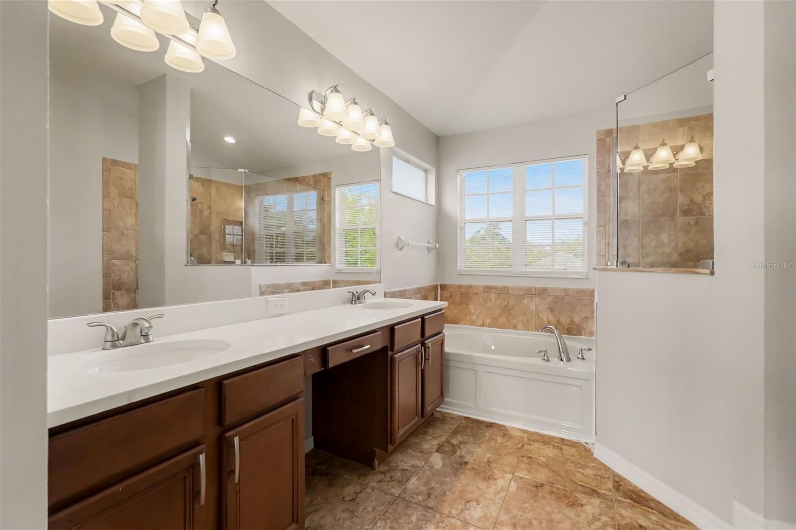11115 ANCIENT FUTURES DR DRIVE, Tampa, FL 33647