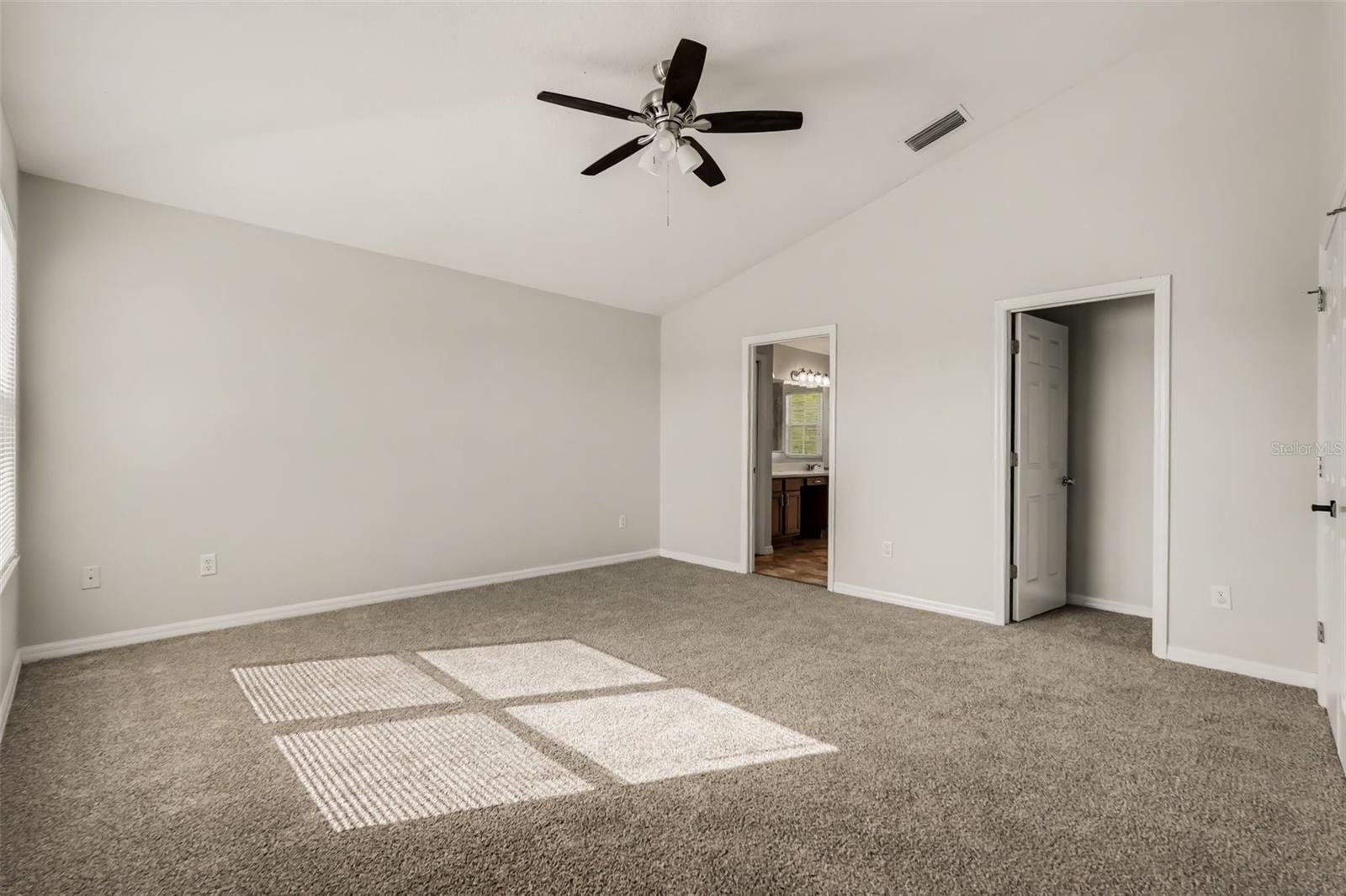 11115 ANCIENT FUTURES DR DRIVE, Tampa, FL 33647