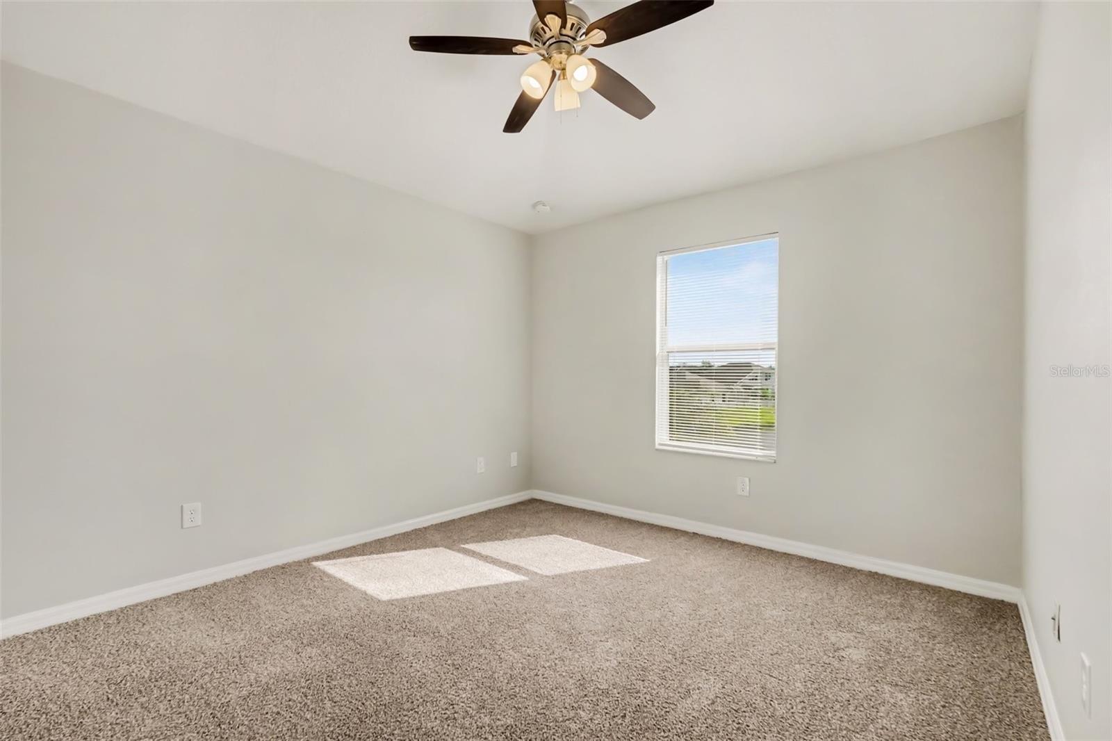 11115 ANCIENT FUTURES DR DRIVE, Tampa, FL 33647