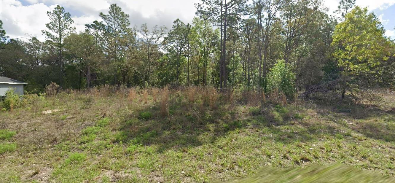 8445 N JANEAUX DRIVE, Citrus Springs, FL 34434 8445 N JANEAUX DRIVE, Citrus Springs, FL 34434