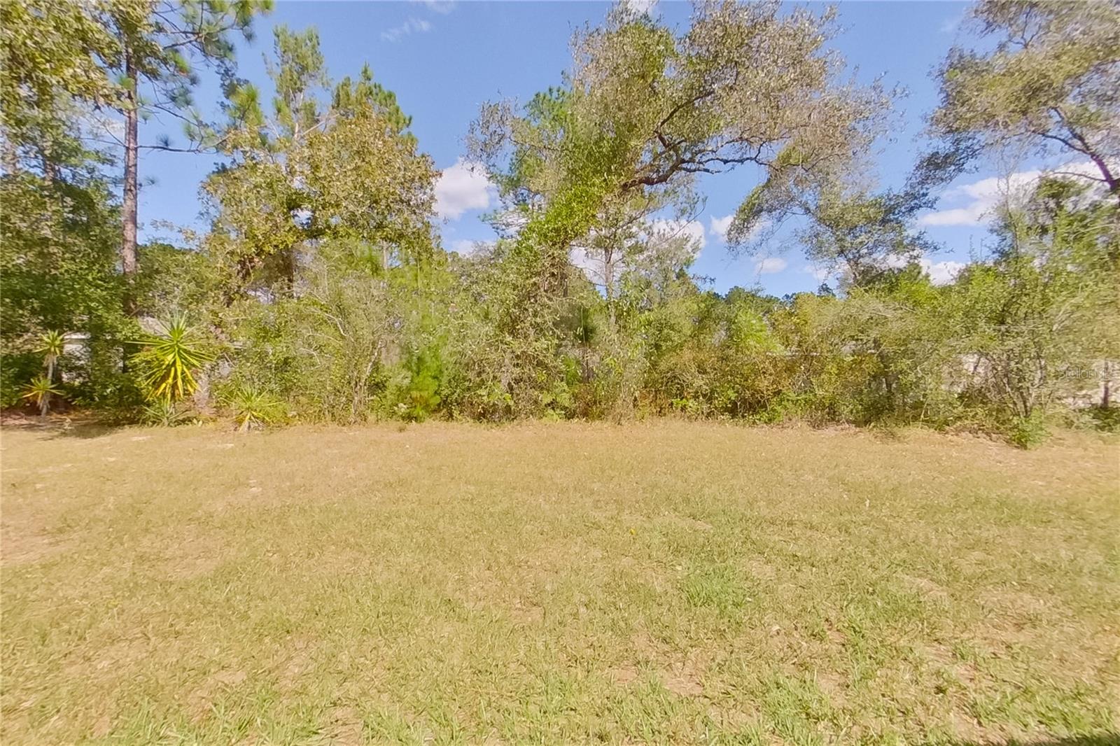 8833 N VIENNA DRIVE, Citrus Springs, FL 34433