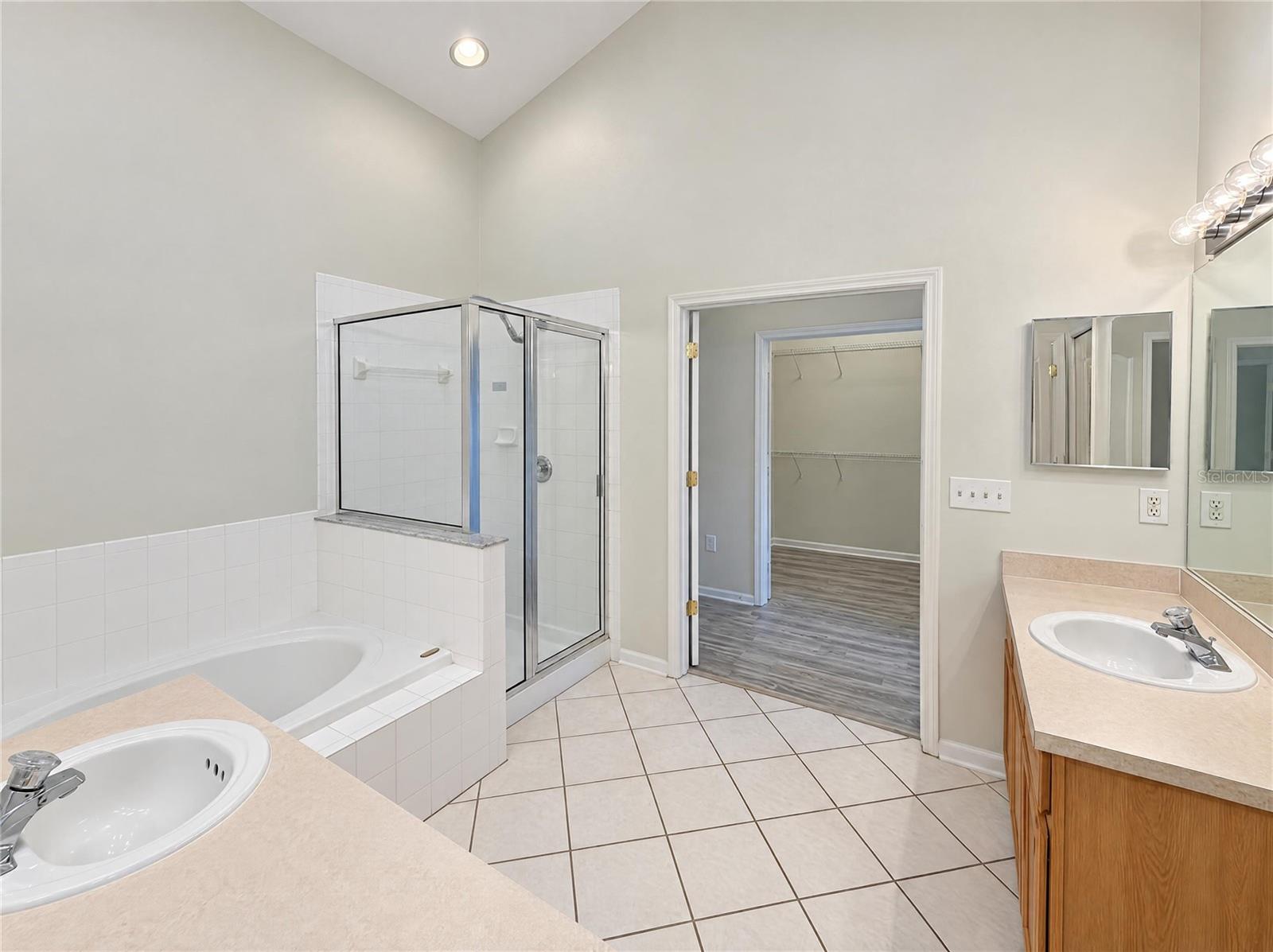 30447 IVERSON DRIVE, Wesley Chapel, FL 33543