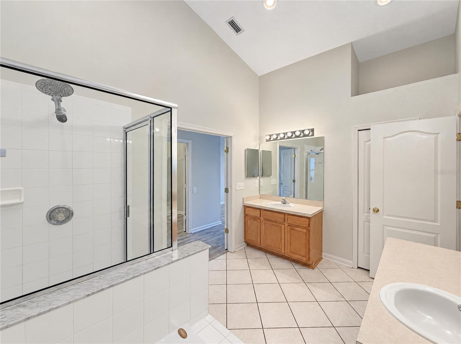 30447 IVERSON DRIVE, Wesley Chapel, FL 33543