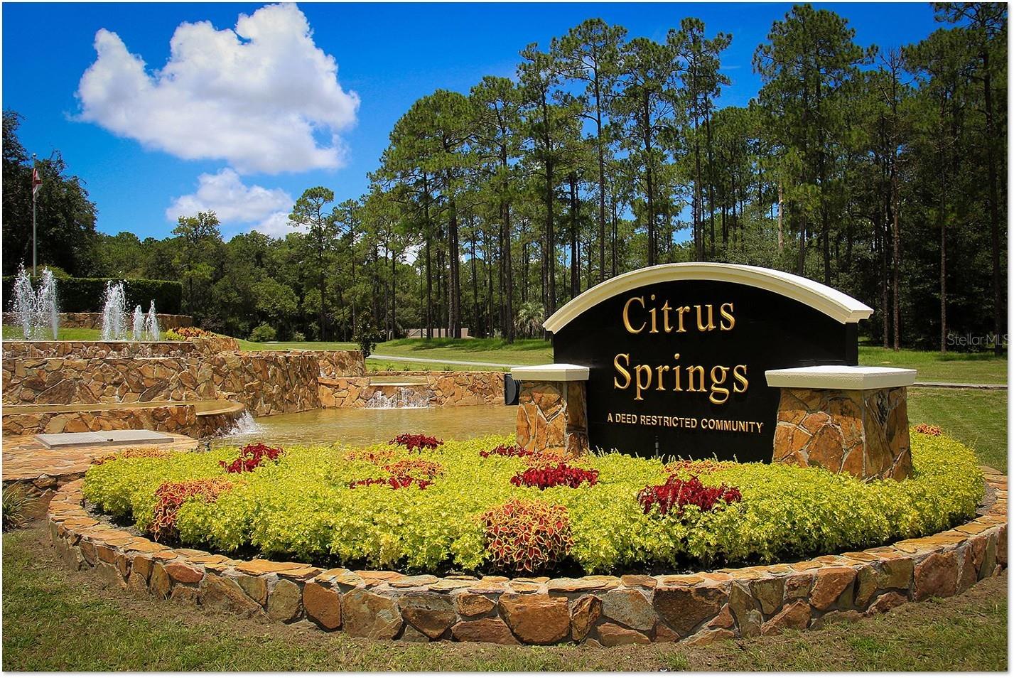 8292 N JANEAUX DRIVE, Citrus Springs, FL 34434 8292 N JANEAUX DRIVE, Citrus Springs, FL 34434