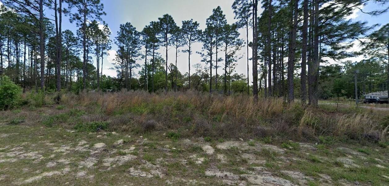 1562 W ACADIAN PLACE, Citrus Springs, FL 34434