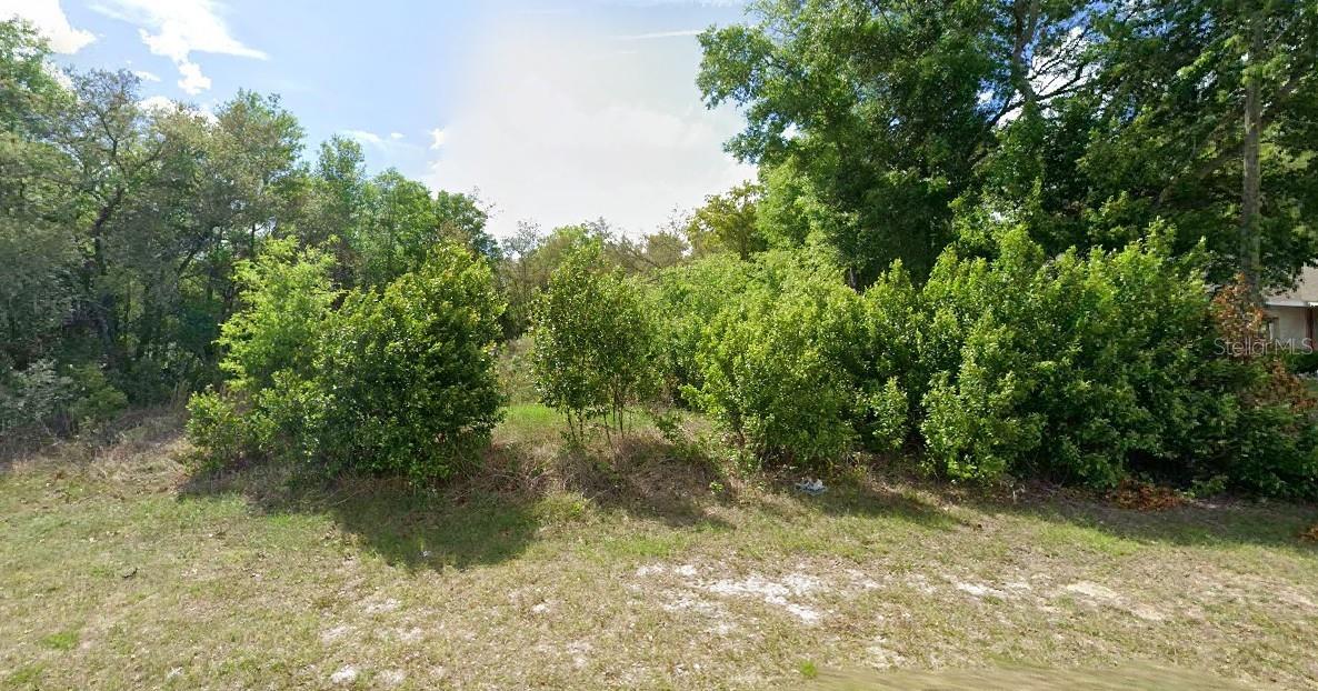 8278 N TRIANA DRIVE, Citrus Springs, FL 34434 8278 N TRIANA DRIVE, Citrus Springs, FL 34434
