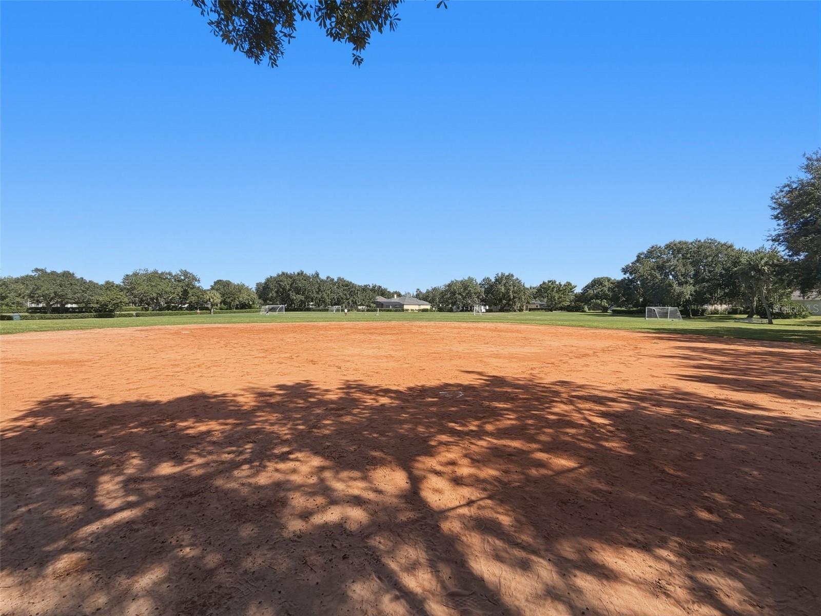 Playing Field