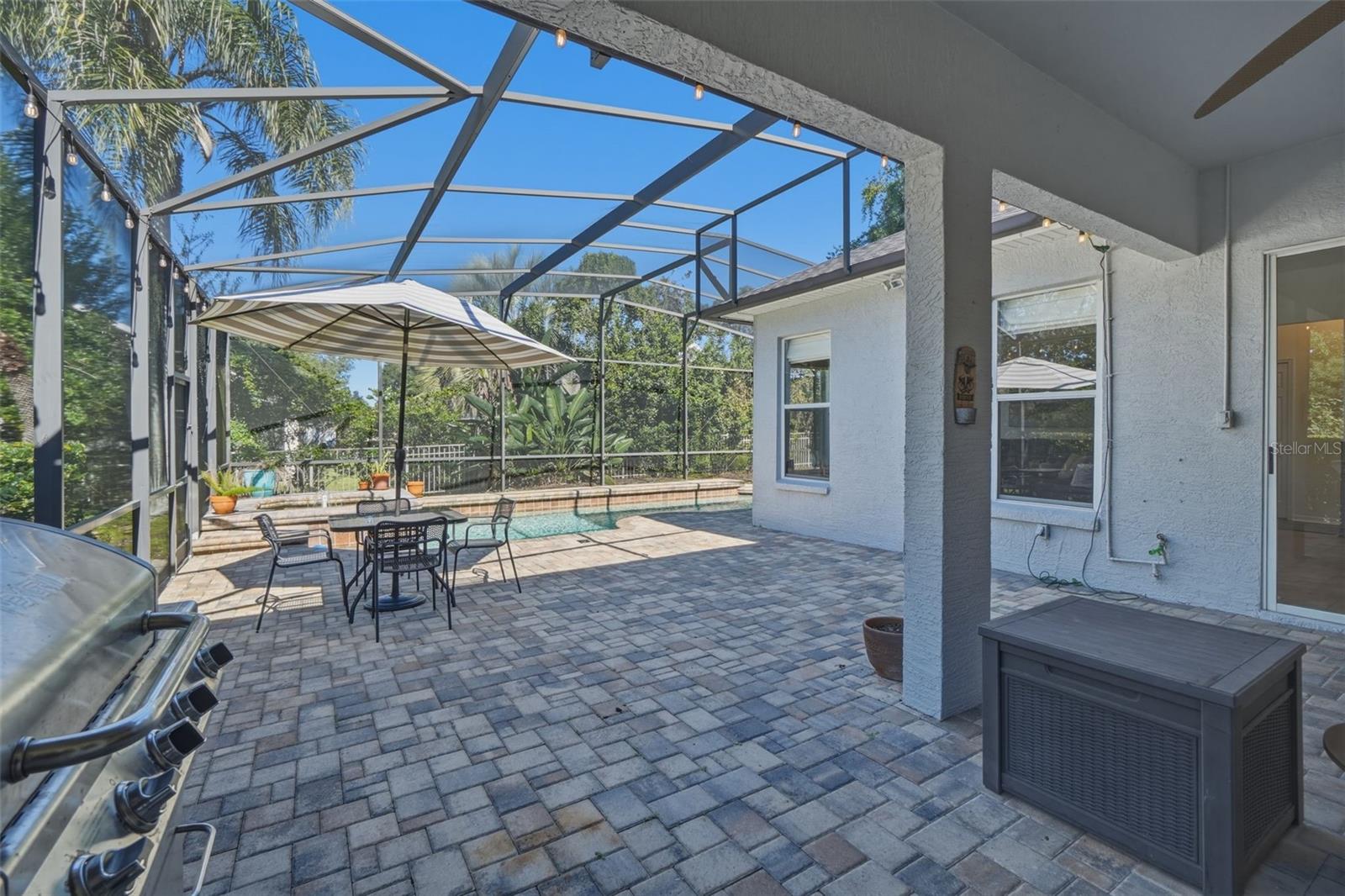 Back Patio/Pool Area