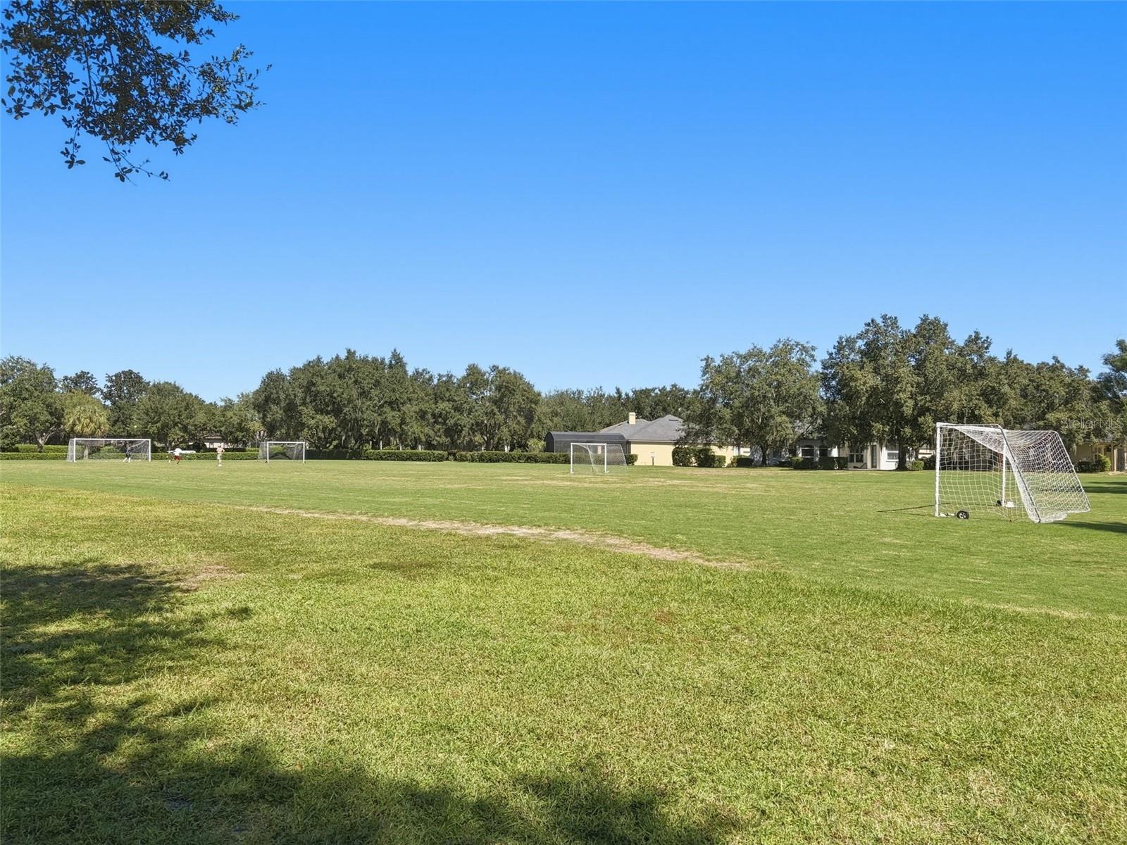 Soccer Field