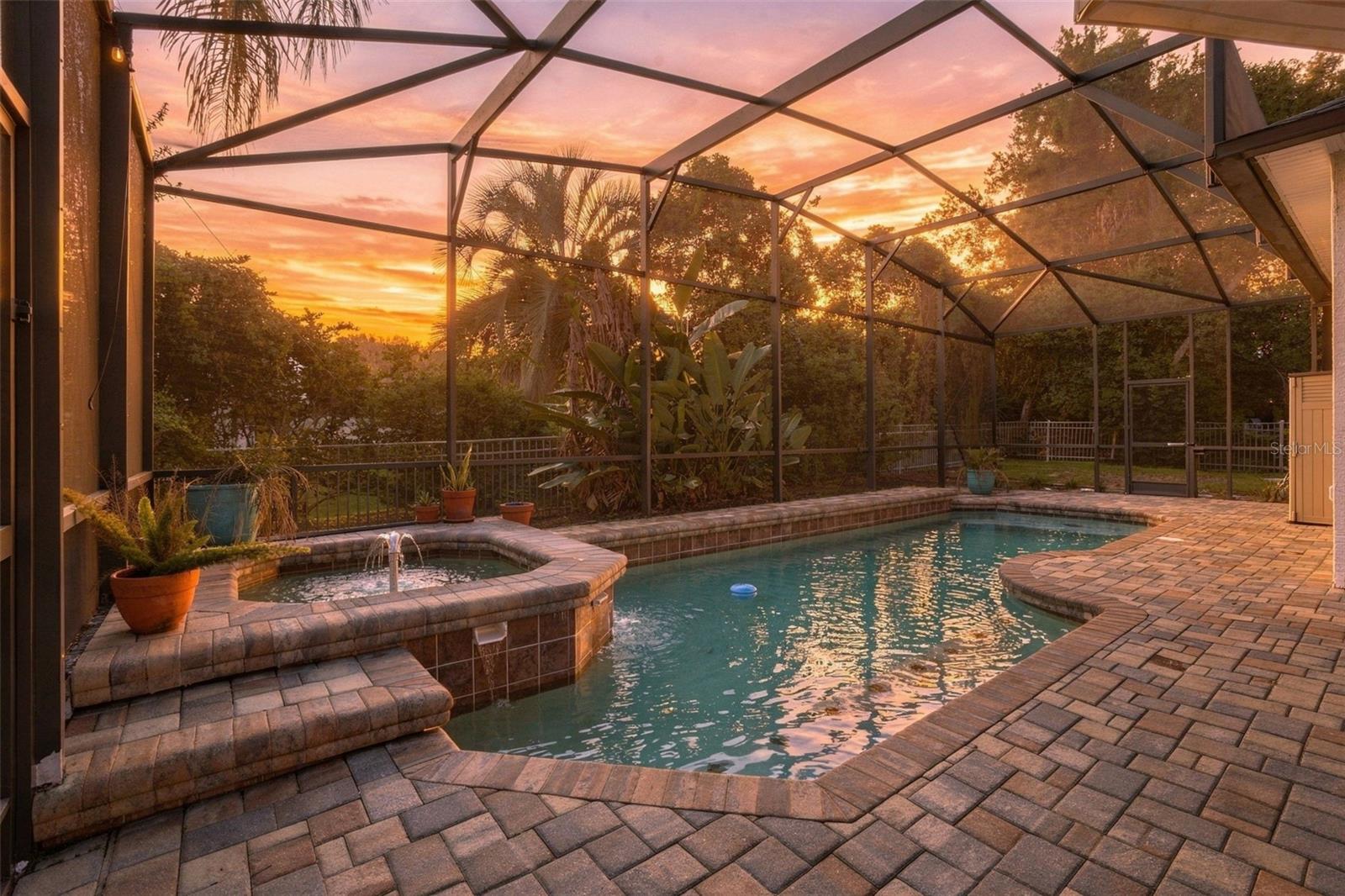 Back Patio/Pool Area