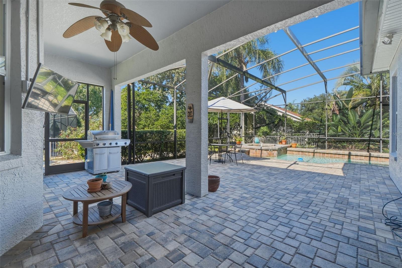 Back Patio/Pool Area