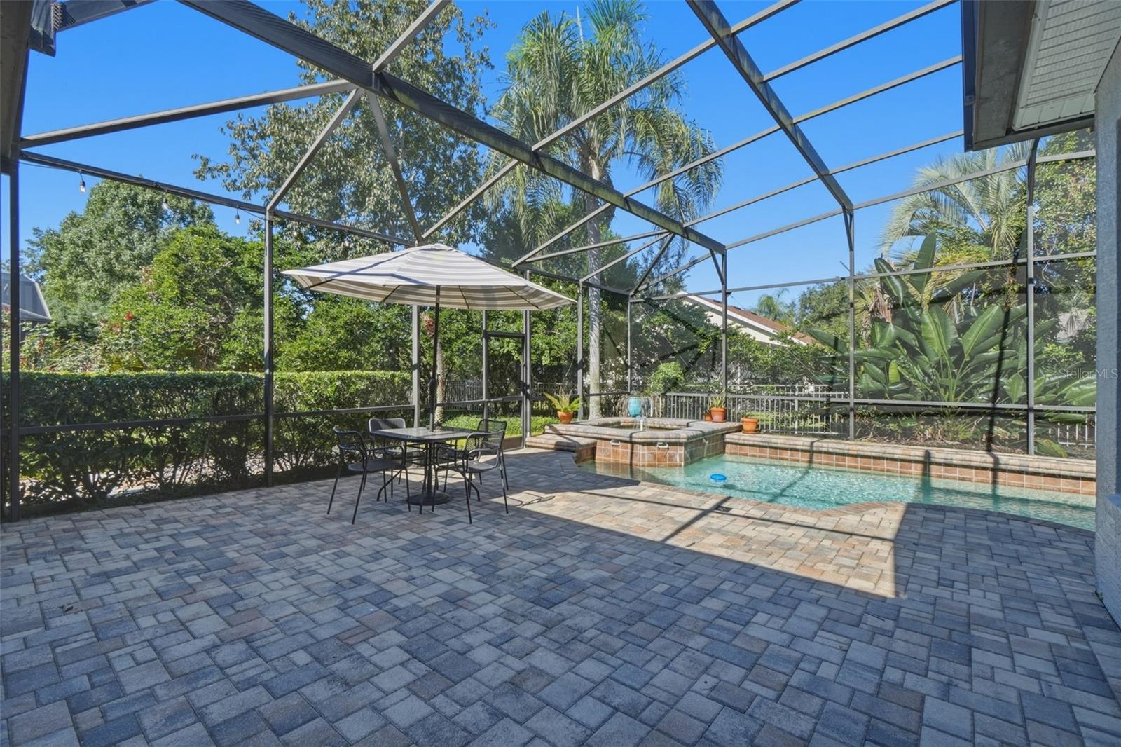 Back Patio/Pool Area