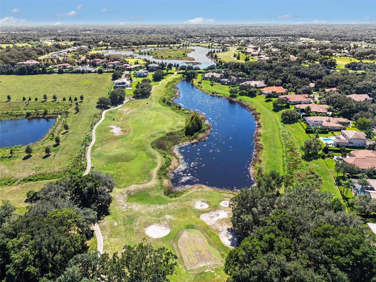 32519 HAWKS LAKE LANE, Sorrento, FL 32776