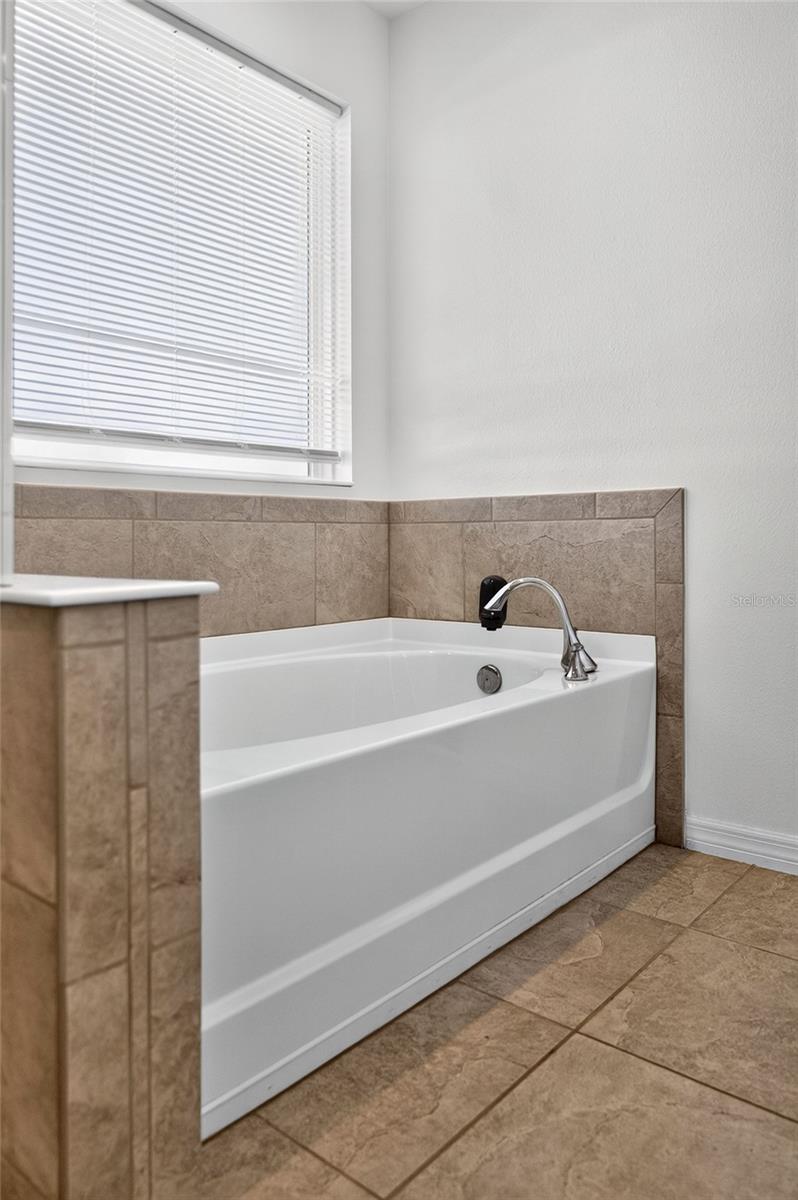 Primary tub